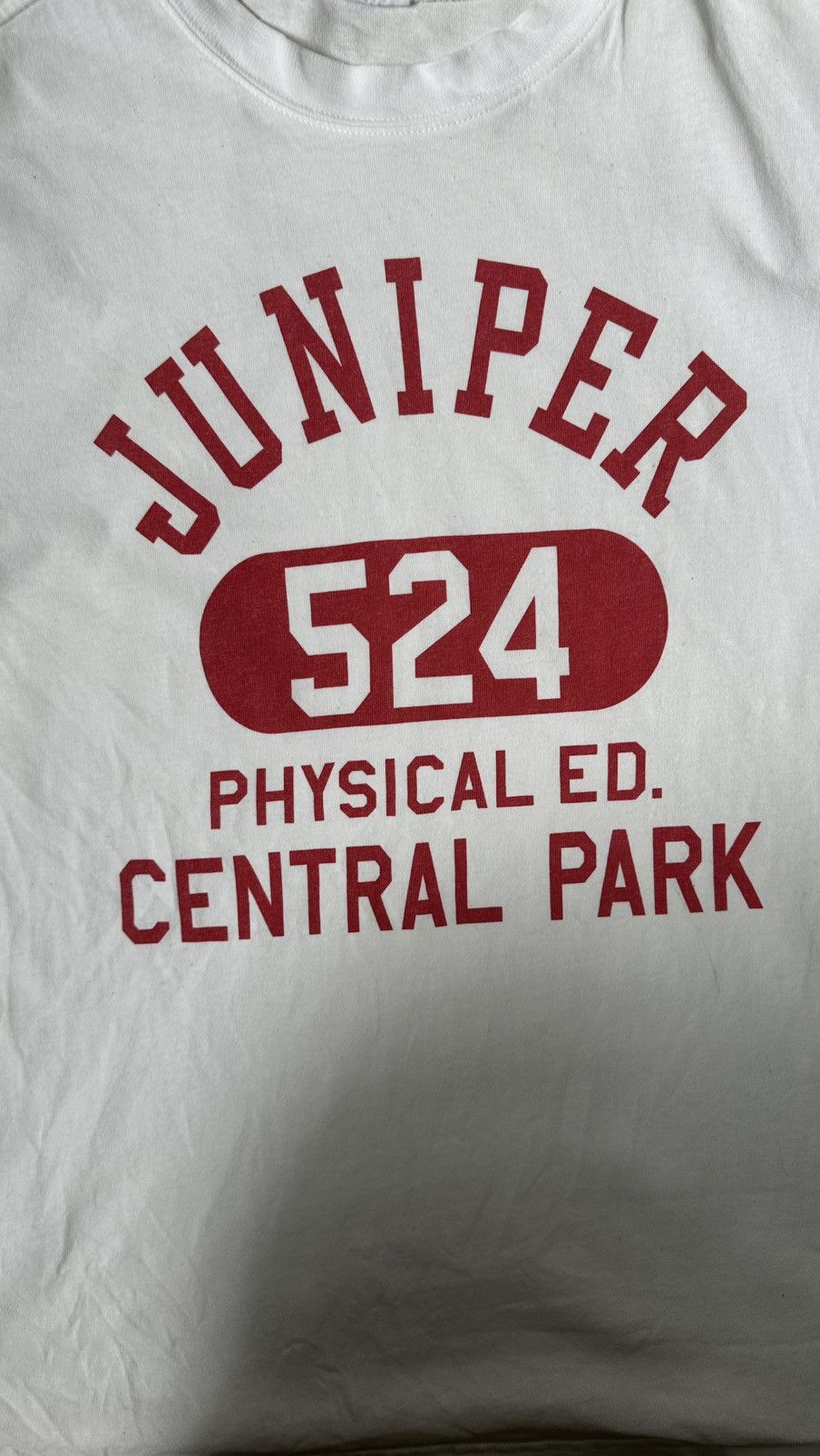 Champion VINTAGE CHAMPION PSYD ED TEE Size US M / EU 48-50 / 2 - 2 Thumbnail