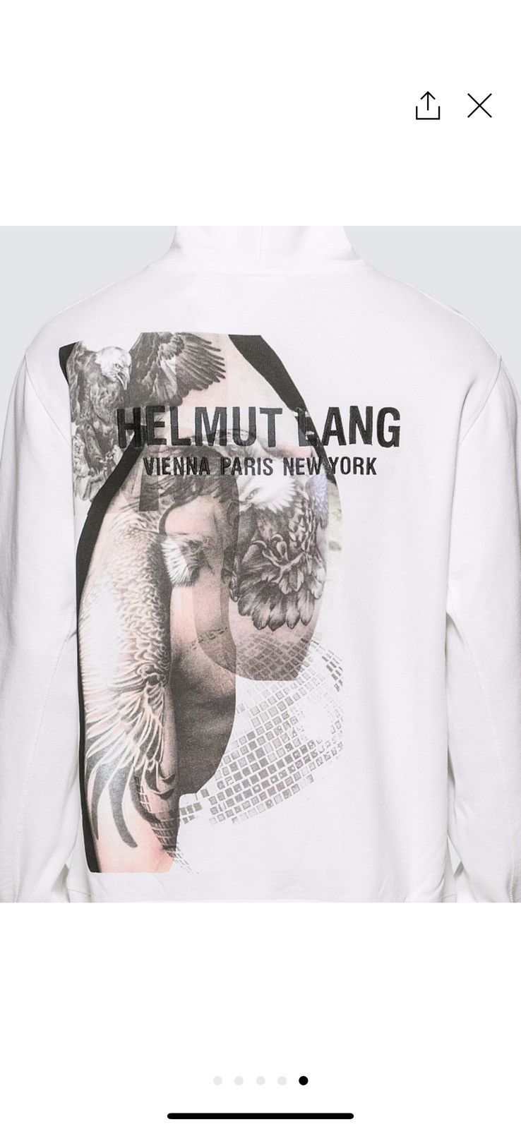 Helmut Lang Helmut Lang Eagle Pop Over Hoodie Size US L / EU 52-54 / 3 - 8 Thumbnail