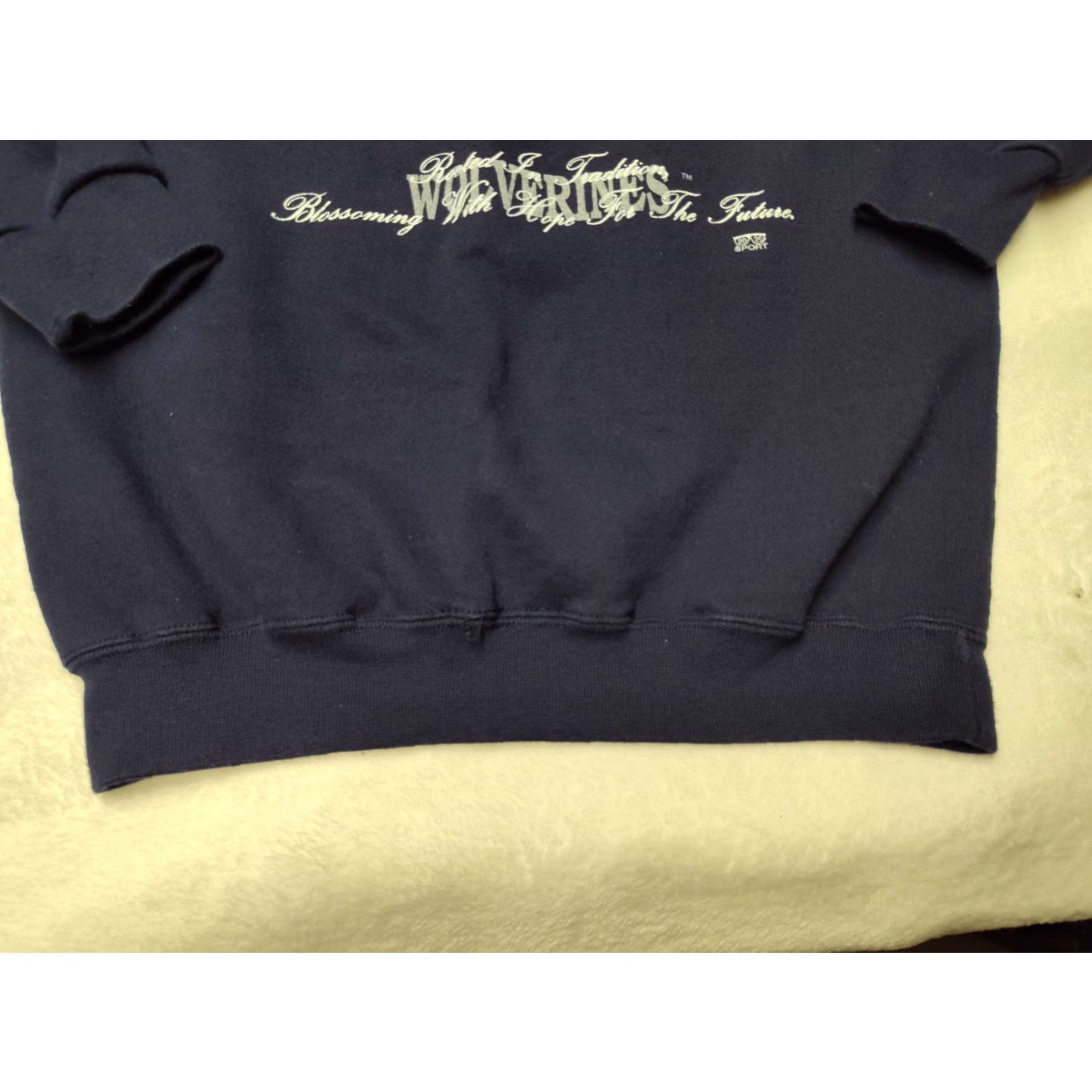 Vintage VINTAGE HVYWT 2020 Sweatshirt Minnesota Wolverines Seal Men M Blue Crew Neck Pullover 90s University College USA Mens Size US M / EU 48-50 / 2 - 6 Thumbnail