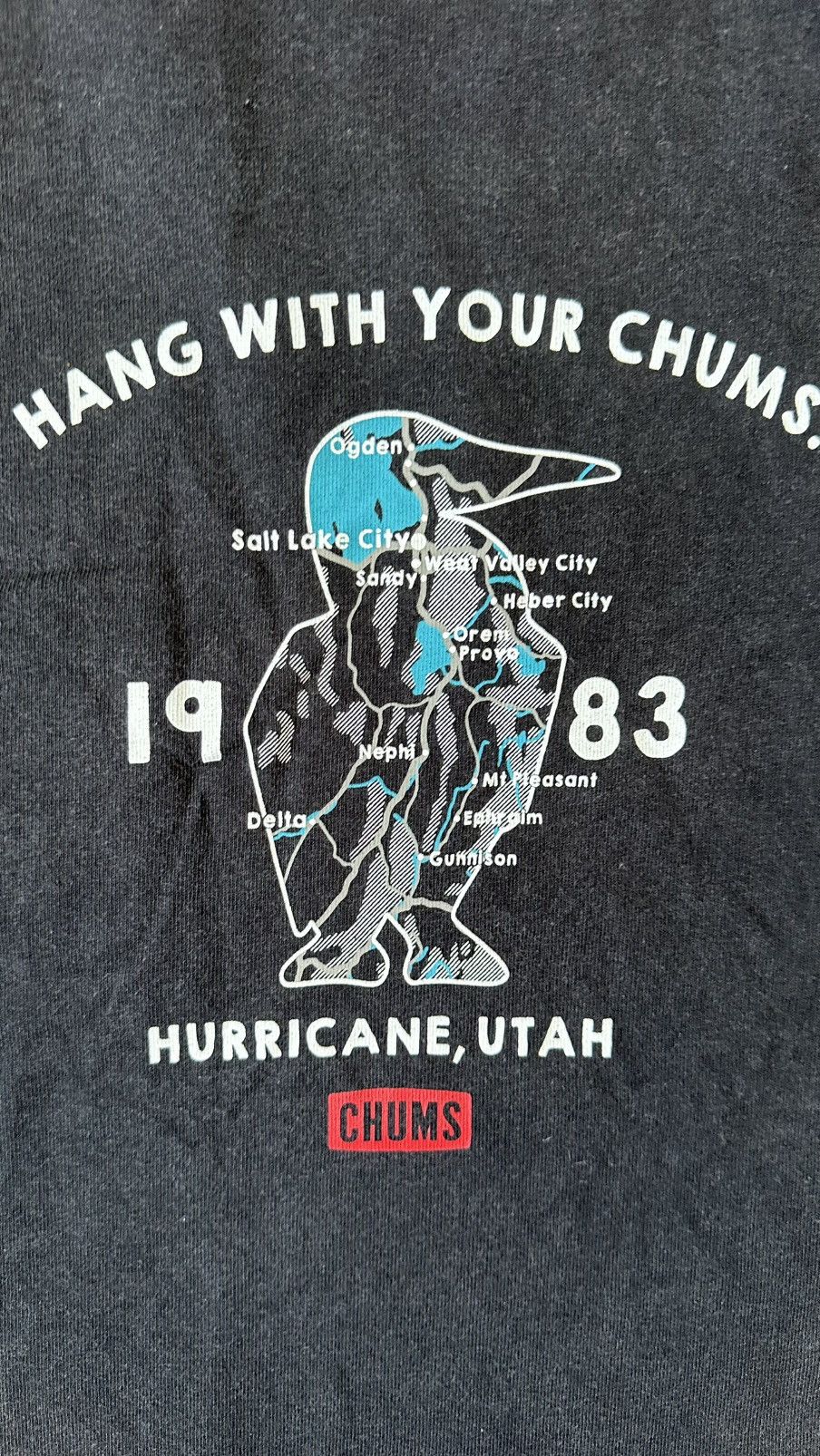 Chums VINTAGE CHUMS OUTDOOR TEE Size US L / EU 52-54 / 3 - 8 Thumbnail