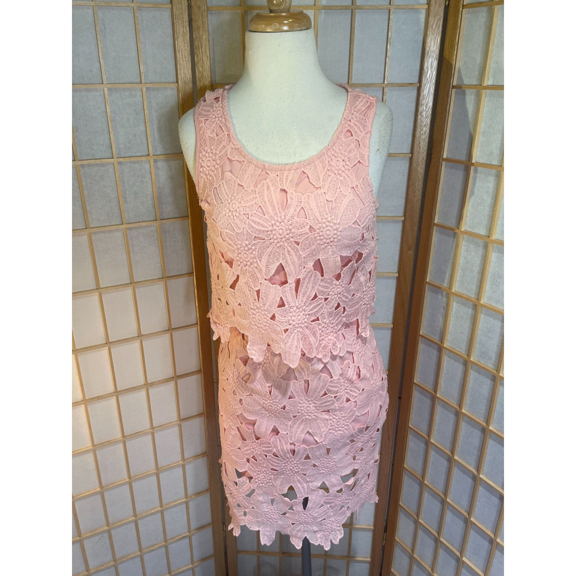Other Francesca's Miami Sm Lace Floral Dress Size S / US 4 / IT 40 - 8 Thumbnail