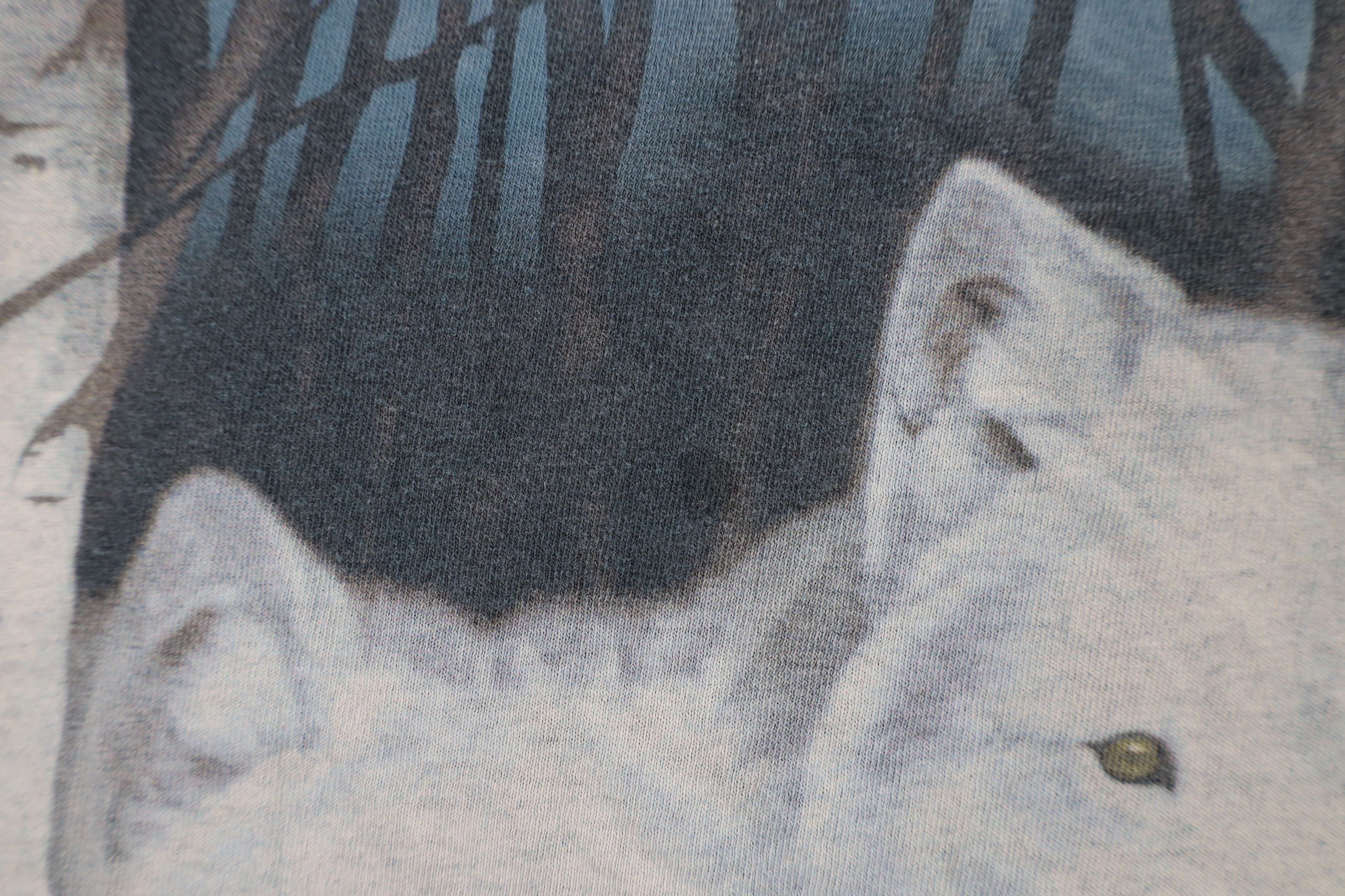 Vintage Vintage 90s Streetwear Acid Wash White Wolf Nature T-Shirt Size US XL / EU 56 / 4 - 5 Thumbnail