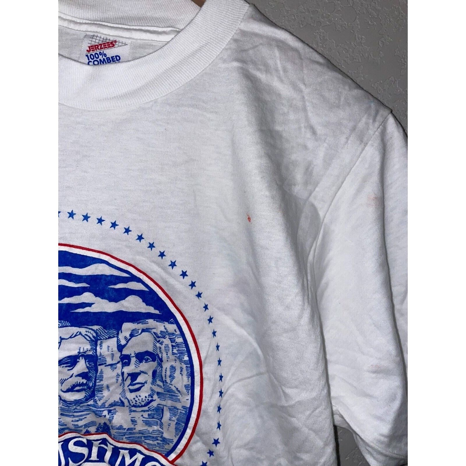 Jerzees 90s Test print Mount Rushmore Grand Teton Highlands Shirt M Size US M / EU 48-50 / 2 - 5 Thumbnail