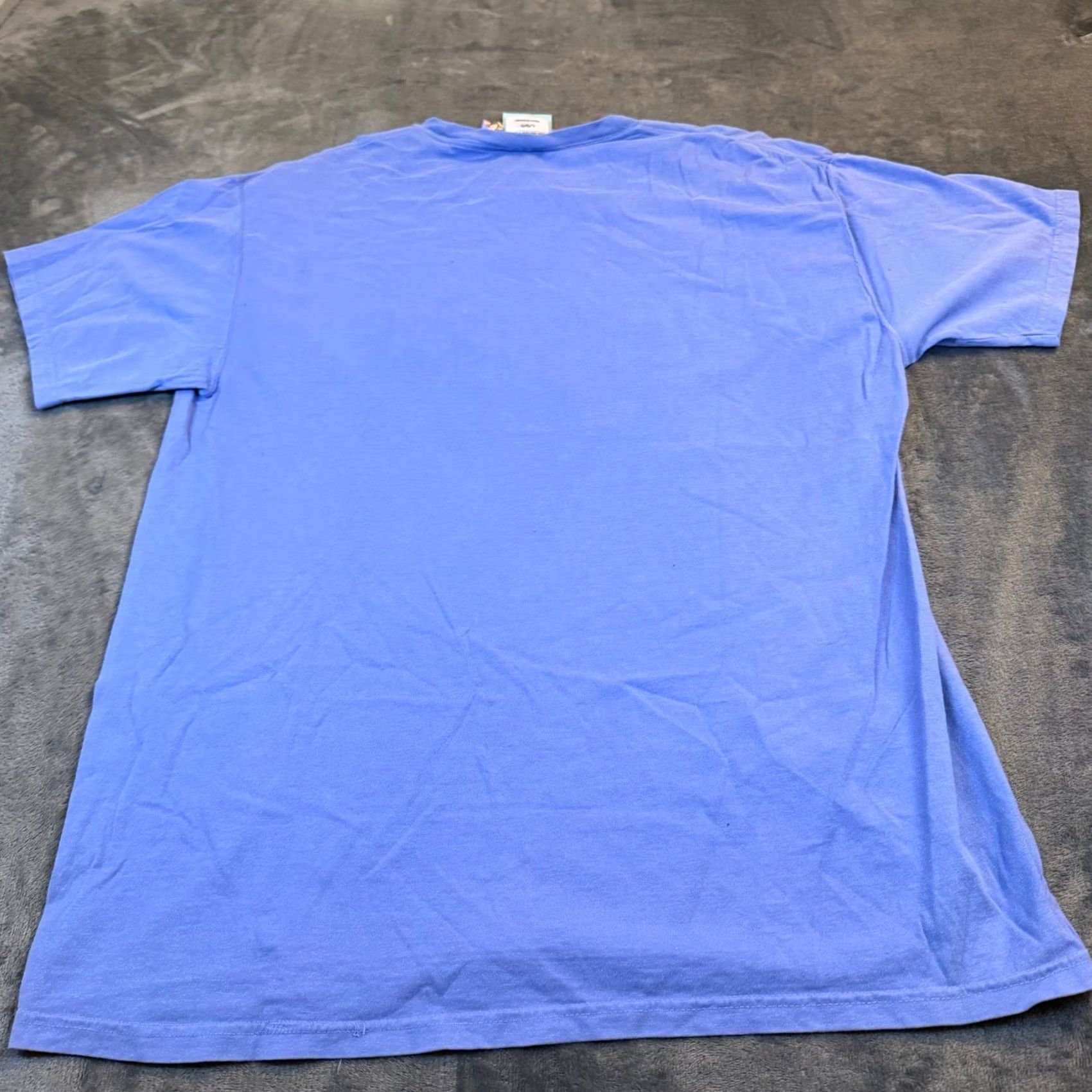 Hanes Hanes ComfortWash Graphic T-Shirt Blue Mens Large Ring Spun Crew Neck Short Sleeve Size US L / EU 52-54 / 3 - 5 Thumbnail