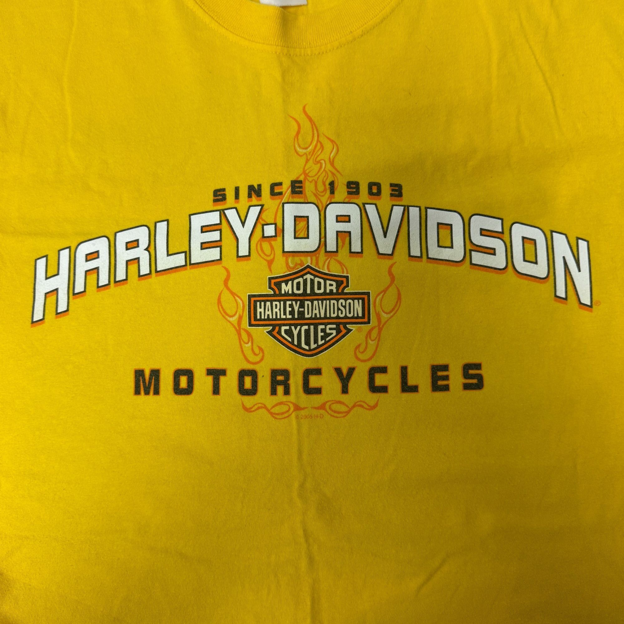 Harley Davidson Low Country Charleston SC SWAMP GATORS SUNSET Biker T Shirt Size US XL / EU 56 / 4 - 5 Thumbnail
