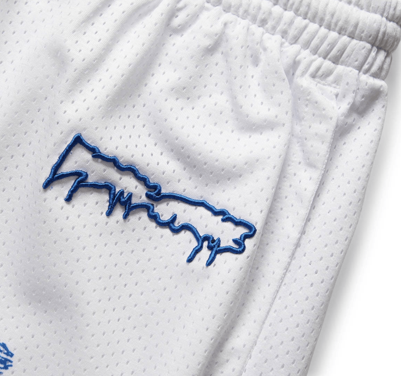 FUCKING AWESOME CHERUB FIGHT MESH SHORT