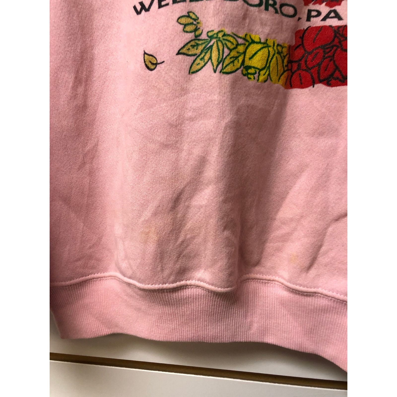 Hanes Vintage Grand Canyon Sweatshirt size medium 1990s 80s Size US M / EU 48-50 / 2 - 2 Thumbnail