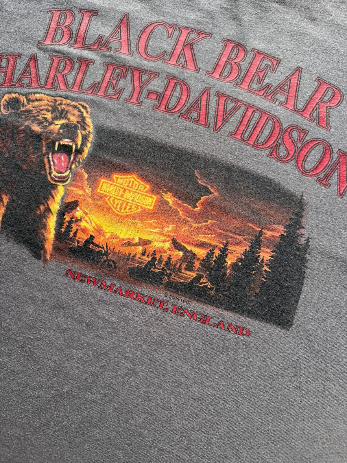 Harley Davidson Vintage 2005 Harley Davidson Black Bear Shirt Size US M / EU 48-50 / 2 - 7 Thumbnail