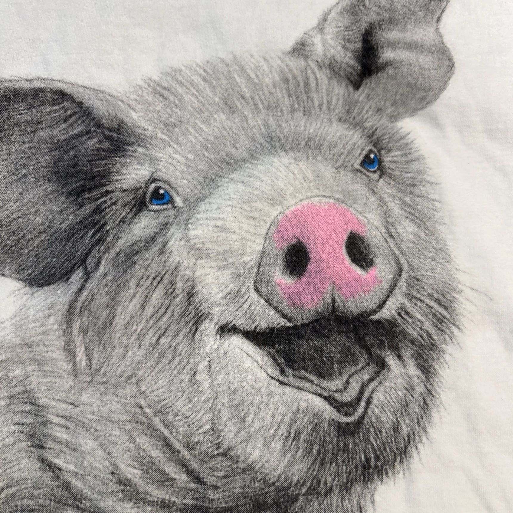 Fruit Of The Loom VINTAGE Fruit of the Loom T-Shirt Pig Animal Graphic White L Adult Mens 80s 90s Barnyard Oink Graphic Print Crew Neck Cotton Size US L / EU 52-54 / 3 - 4 Thumbnail