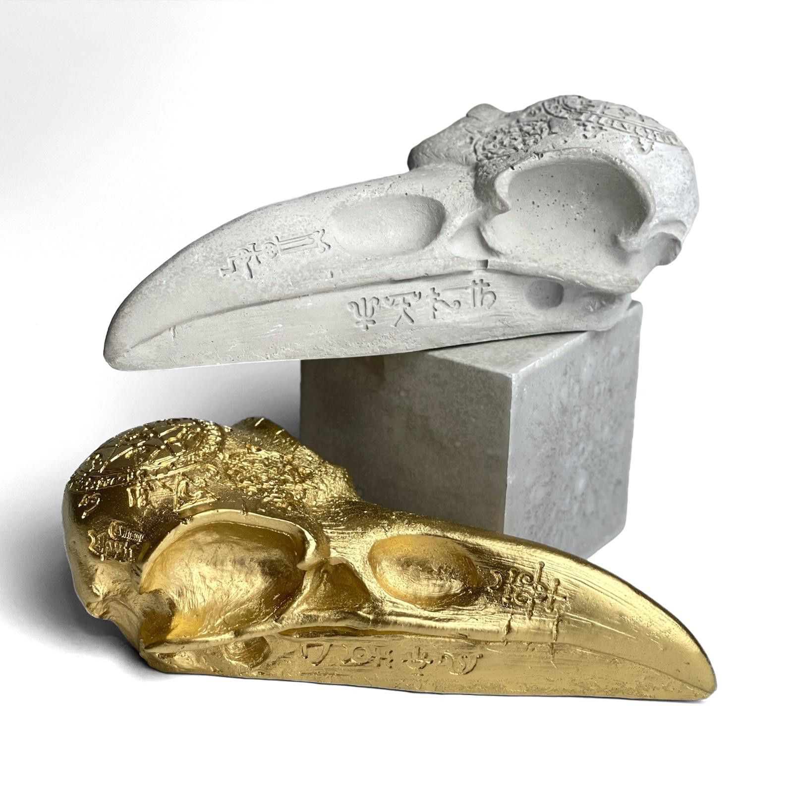 Other Crow Skull Replica, Raven Skull Sculpture, Realistic Magpie Size ONE SIZE - 1 Thumbnail