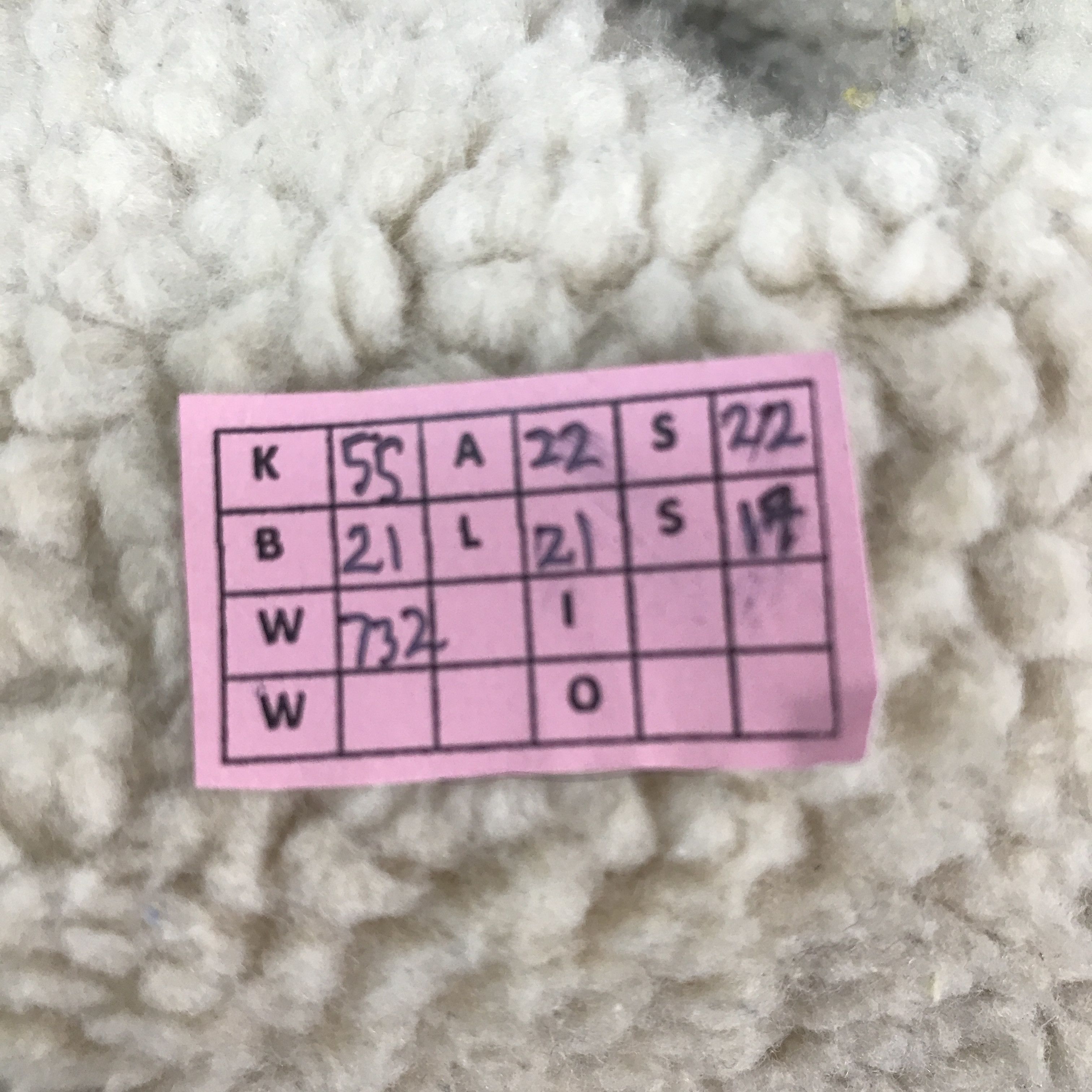Lemaire × Uniqlo Lemaire x uniqlo fleece sherpa jacket Size US L / EU 52-54 / 3 - 13 Thumbnail