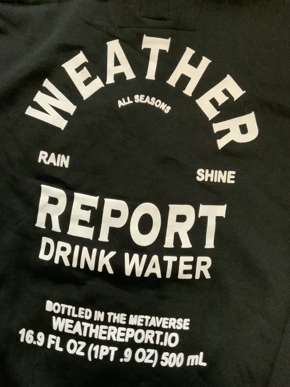 Weather Report Weather Report Drink Water All Seasons Bottled In Hoodie Size US XL / EU 56 / 4 - 4 Thumbnail