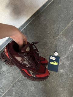 Raf 2024 simons burgundy