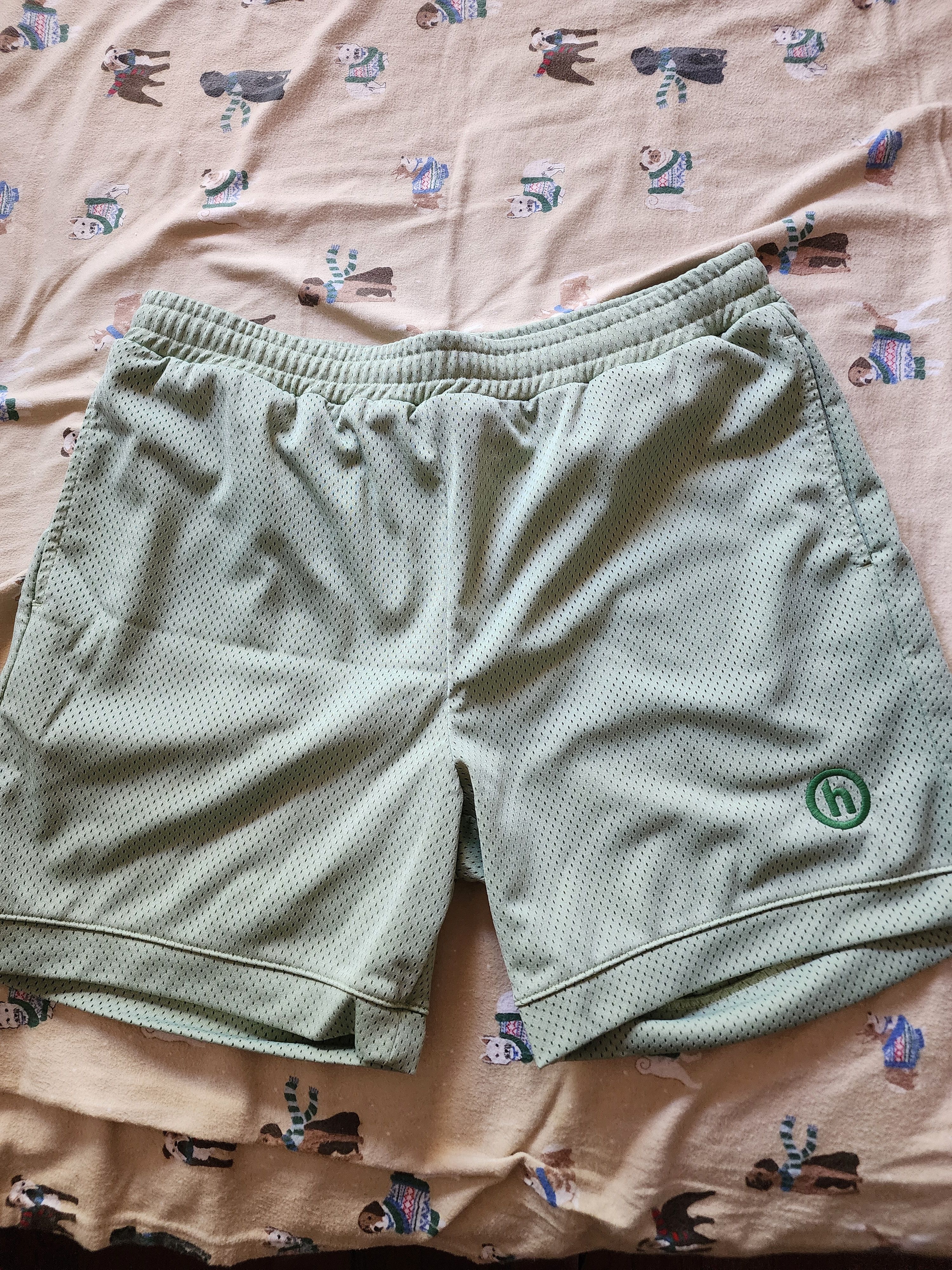 image of Hidden Ny Mesh Shorts Mint, Men's (Size 34)