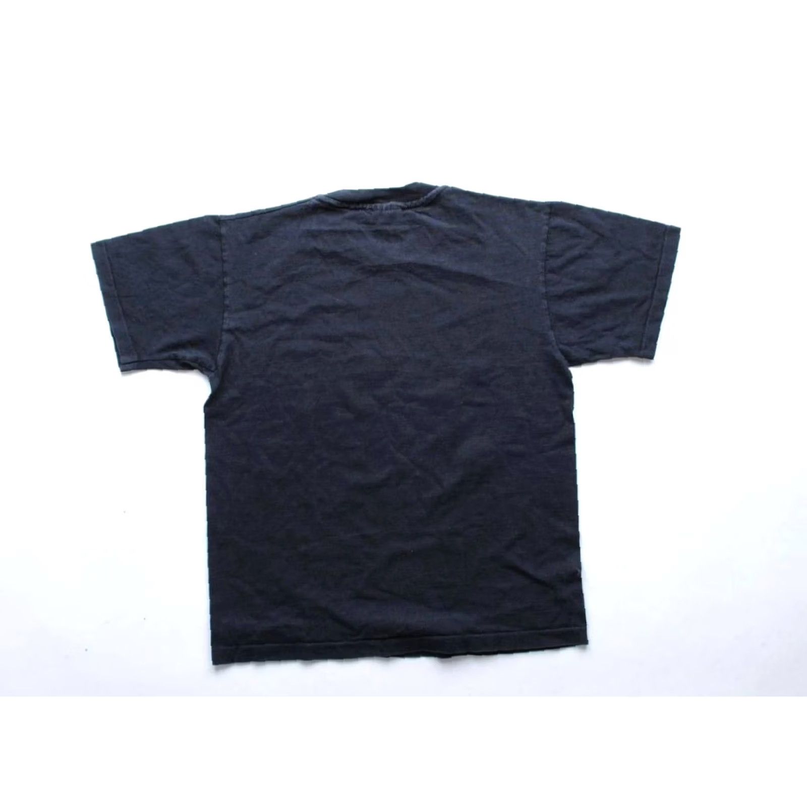 Anvil Carolina Panthers T-Shirt Anvil 1995 Graphic Tee Men's M Black 1990s Sportswear/Beach Mens Size US M / EU 48-50 / 2 - 2 Thumbnail