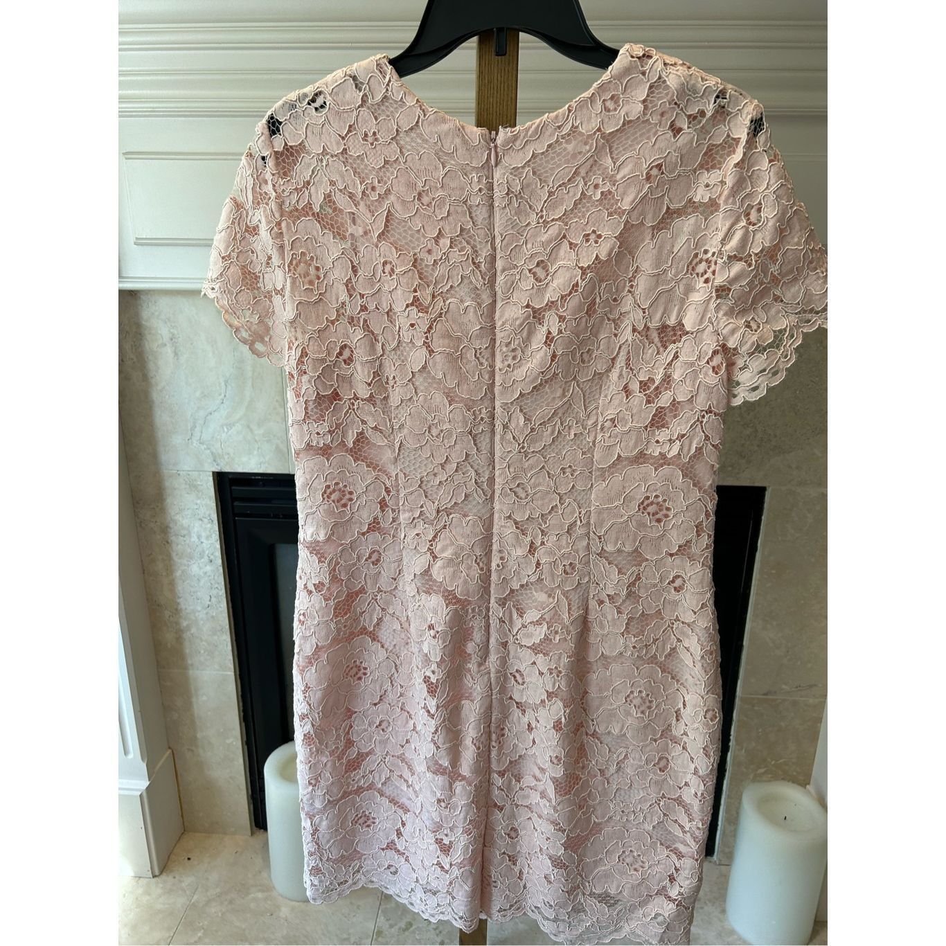 Lauren Ralph Lauren Lauren Ralph Lauren Women’s Petite Pink Lace Sheath Formal E Size XL / US 12-14 / IT 48-50 - 6 Thumbnail