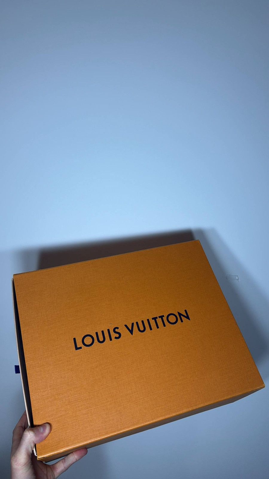 Louis Vuitton LOUIS VUITTON SKATER DOUBLE LACING Size US 7 / EU 40 - 6 Thumbnail