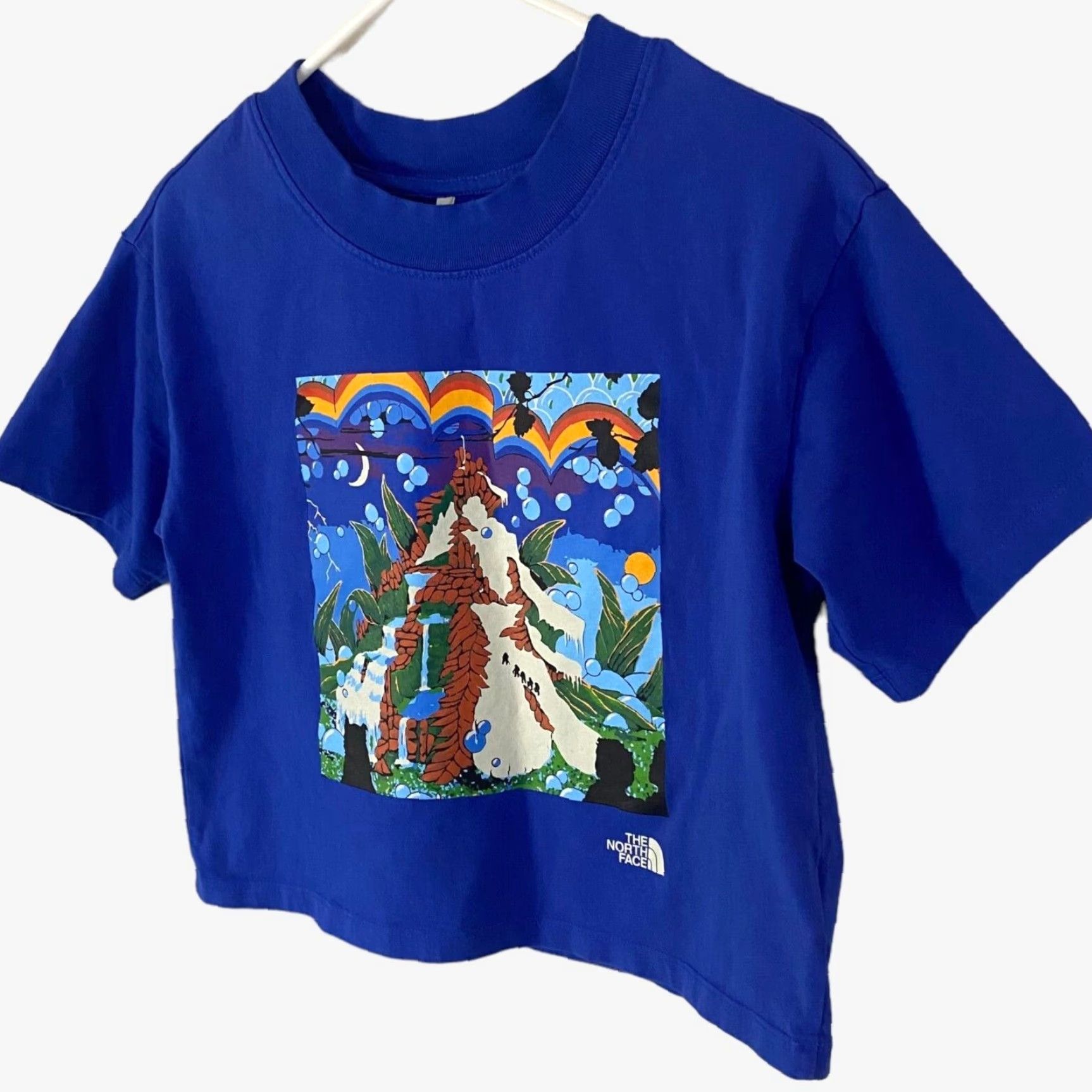 The North Face The North Face Cropped Mountain T-Shirt Womens Small Blue Graphic Casual Tee Size S / US 4 / IT 40 - 2 Thumbnail