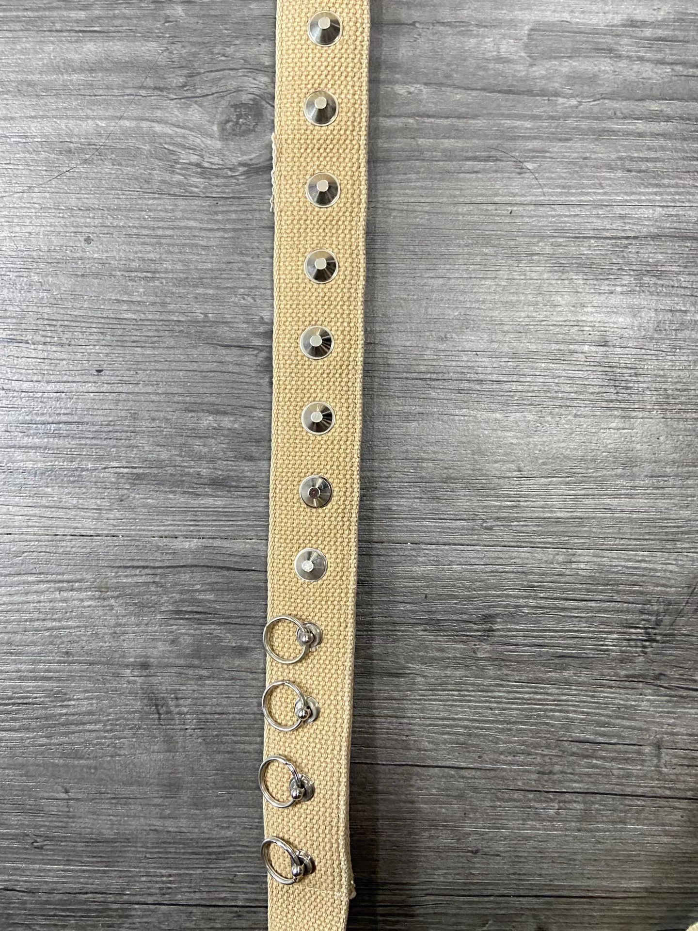 Number (N)ine Number (N)ine Studded Buckle Canvas Belt K20 Size ONE SIZE - 2 Thumbnail
