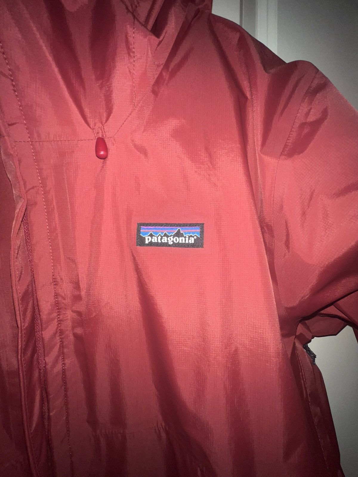 Patagonia Patagonia Large Jacket Size US L / EU 52-54 / 3 - 3 Thumbnail