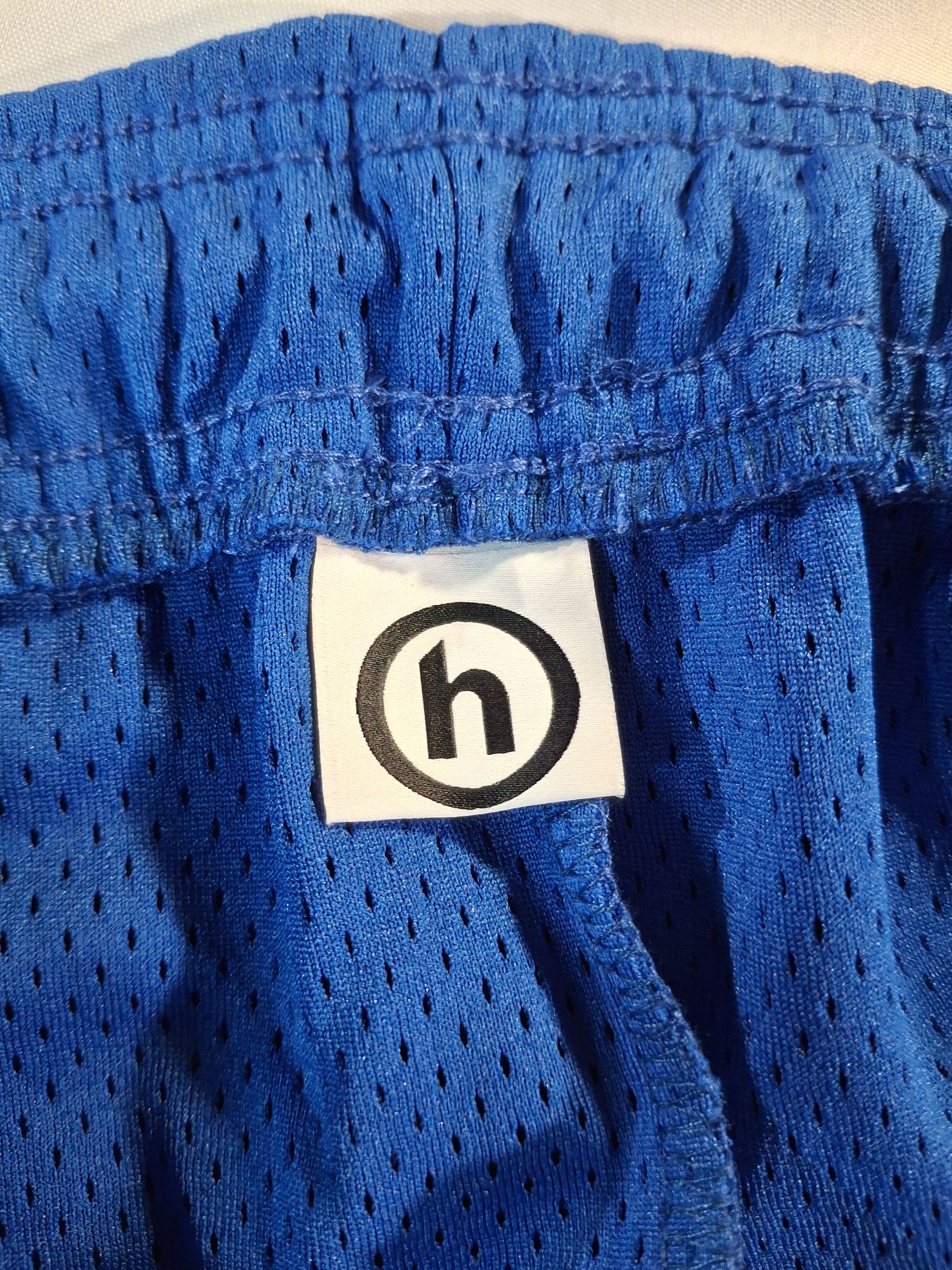HIDDEN Hidden NY Mesh Shorts - Royal Blue - Size M Size US 33 - 4 Thumbnail