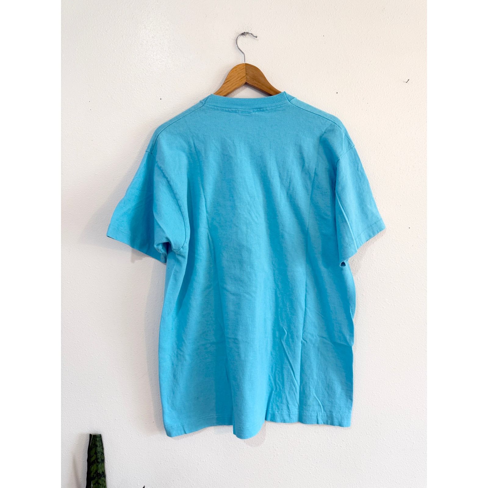Fruit Of The Loom 80s Alaska Iris Single Stitch Tee XL Size US XL / EU 56 / 4 - 8 Thumbnail