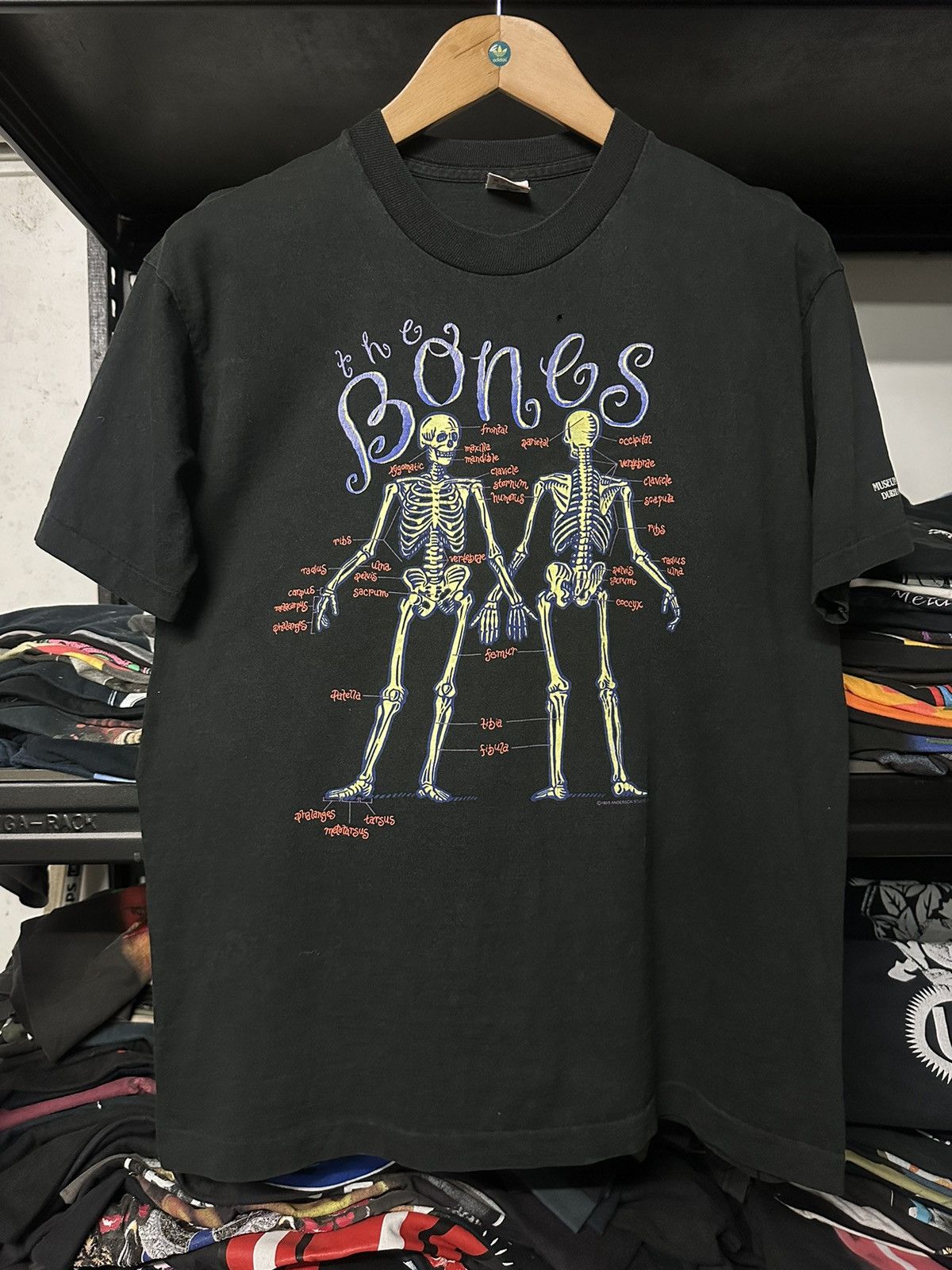 Vintage Vintage 90s The Bones Anatomy Anderson Studio Museum Faded T Size US L / EU 52-54 / 3 - 1 Thumbnail