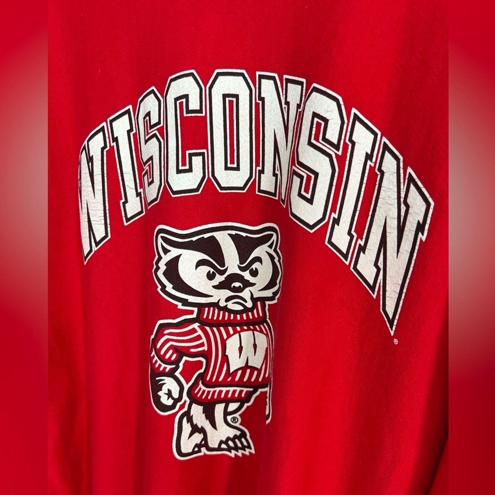 Champion VINTAGE Champion Reverse Weave Wisconsin Badgers Red Bucky Size US L / EU 52-54 / 3 - 2 Thumbnail