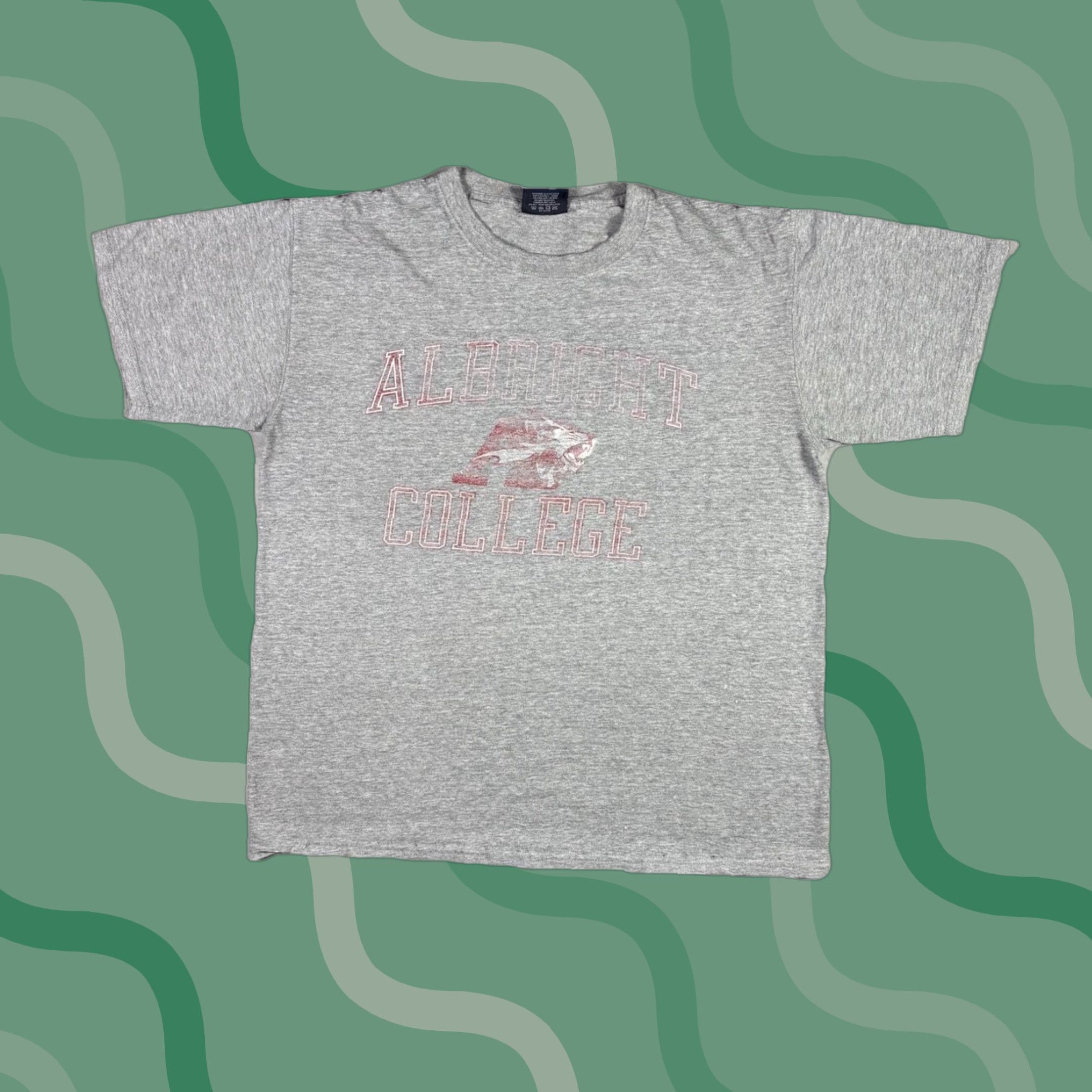 Jansport VINTAGE Albright College T Shirt Jansport Gray Short Sleeve Distressed Faded LG Size US L / EU 52-54 / 3 - 1 Thumbnail