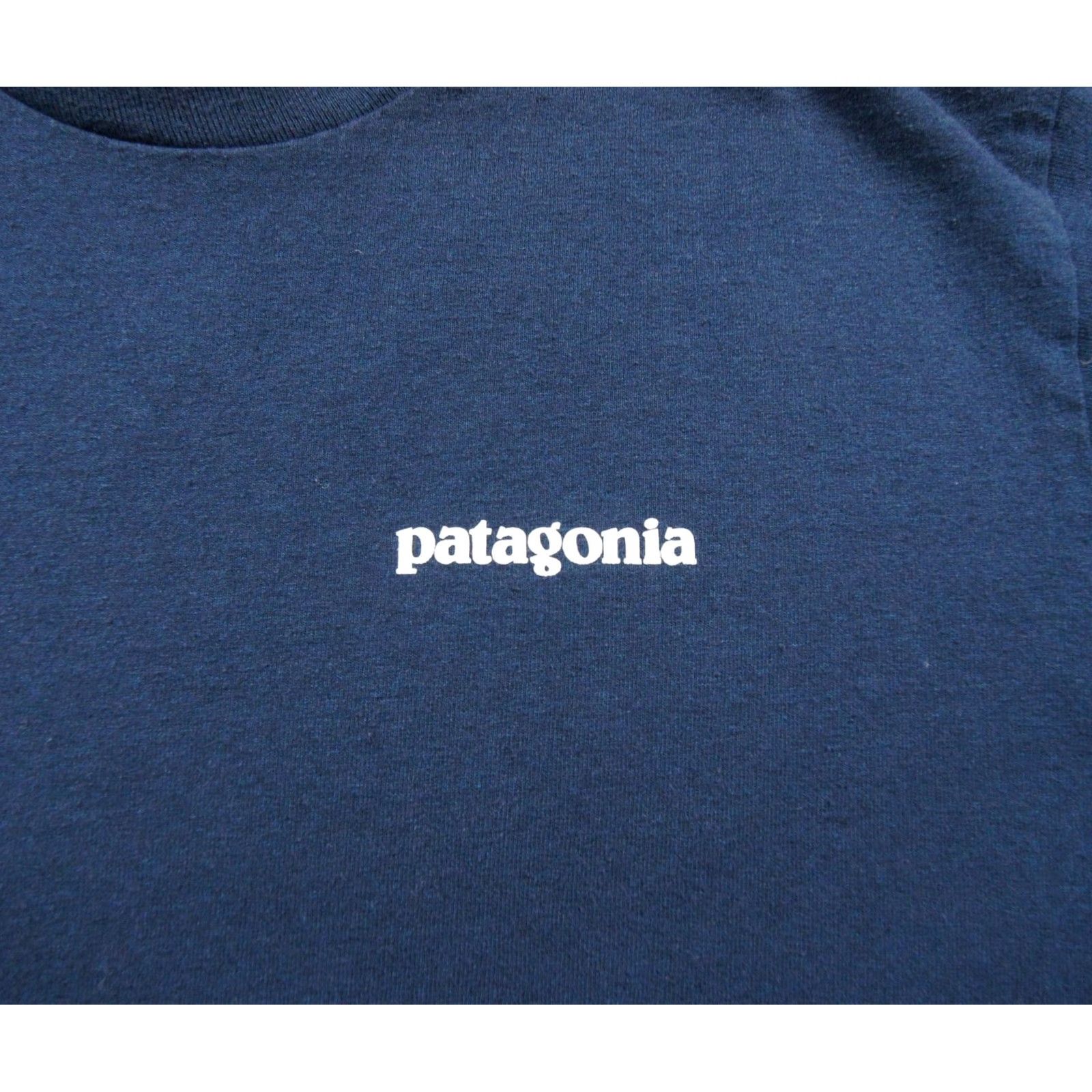 Patagonia Patagonia Shirt Mens Small Blue Graphic Tee Short Sleeve Crewneck Outdoors Shirt Mens Small Blue Graphic Tee Crewneck Outdoors Size US S / EU 44-46 / 1 - 2 Thumbnail