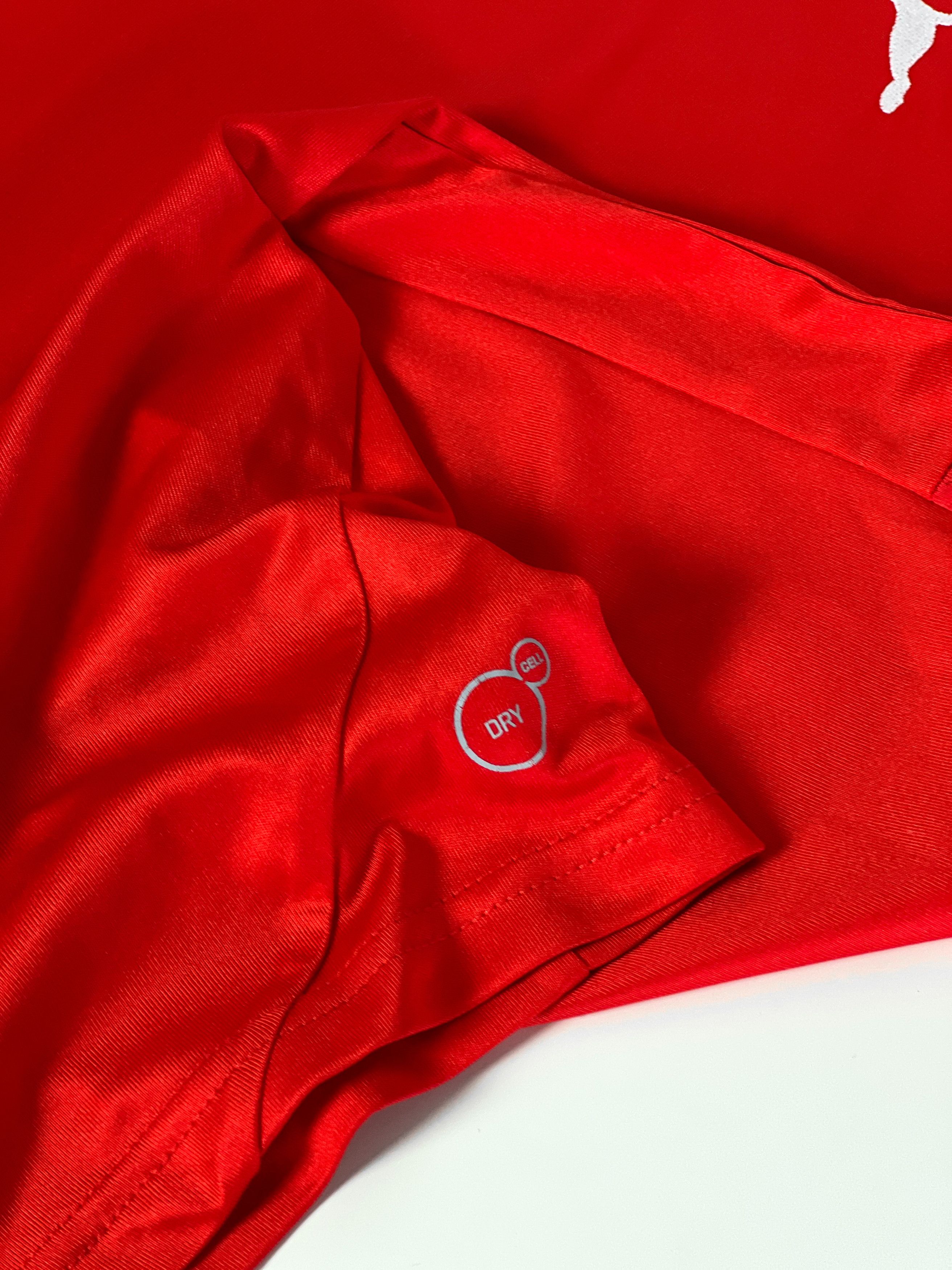 Puma Puma x Switzerland national Custom Name ( 2014-2015) Size US M / EU 48-50 / 2 - 5 Thumbnail