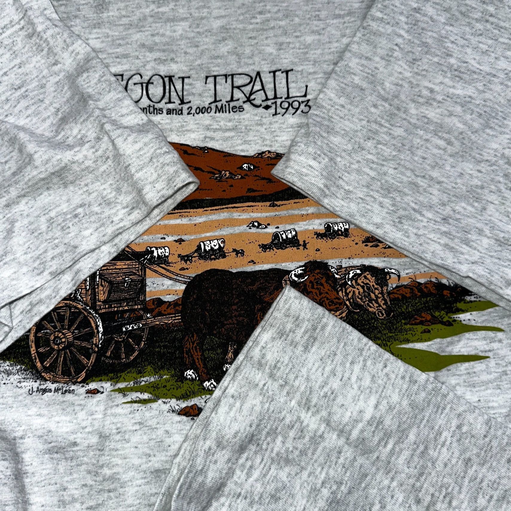 Fruit Of The Loom VINTAGE Oregon Trail 90s T Shirt Gray L Fruit of the Loom Mens Short Sleeve Crew Neck USA Sunset Rare Size US L / EU 52-54 / 3 - 6 Thumbnail
