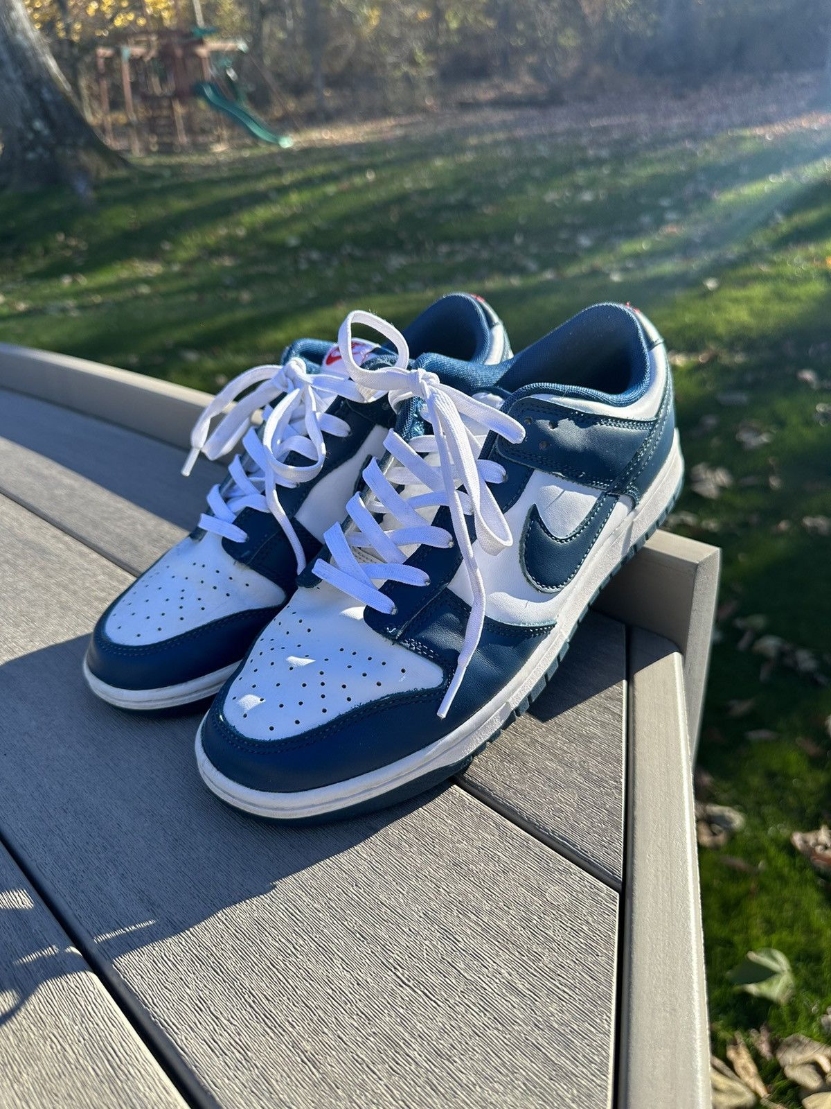 Nike Dunk ‘Valerian Blue’