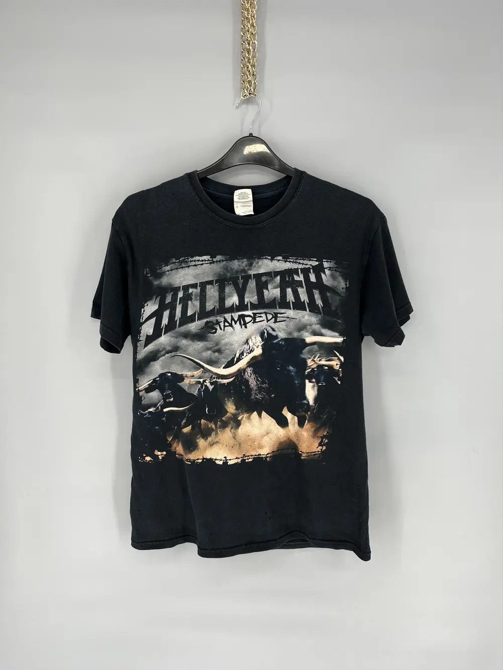 Band Tees Vintage y2k HELLYEAH stamdede tour 2010 Band Rock Tee Size US M / EU 48-50 / 2 - 1 Thumbnail