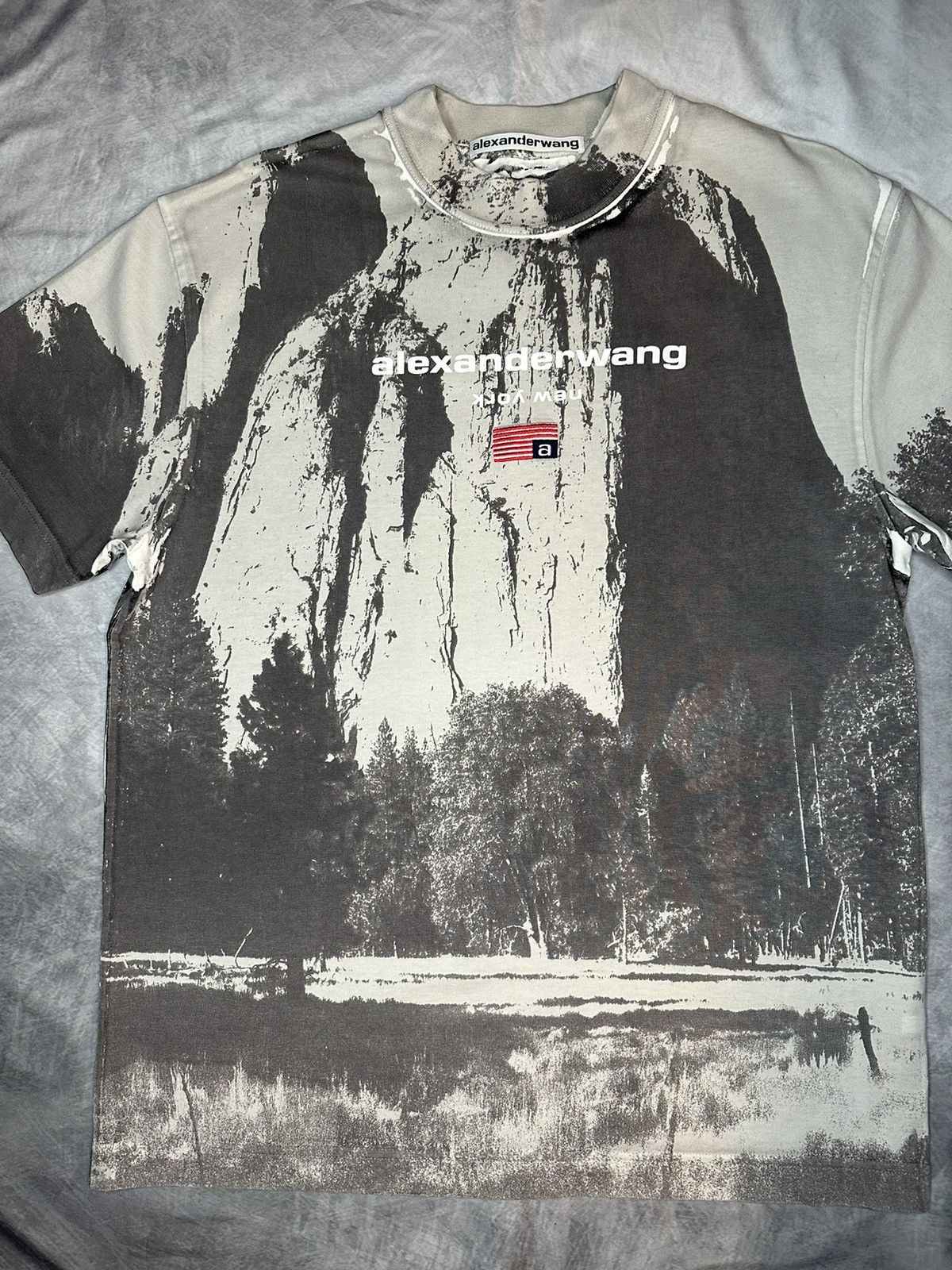 Alexander Wang × Japanese Brand Alexander Wang Cathedral Rock crew-neck T-shirt Size US S / EU 44-46 / 1 - 2 Thumbnail