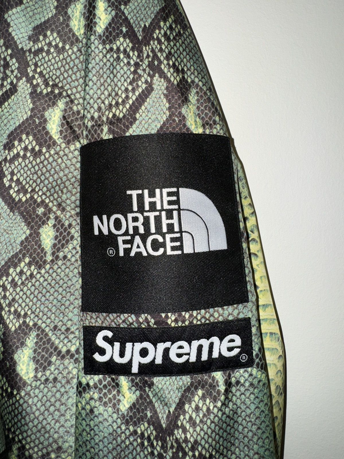 SUPREME THE NORTH FACE SNAKE SKIN TAPED SEAM COACHES JACKET