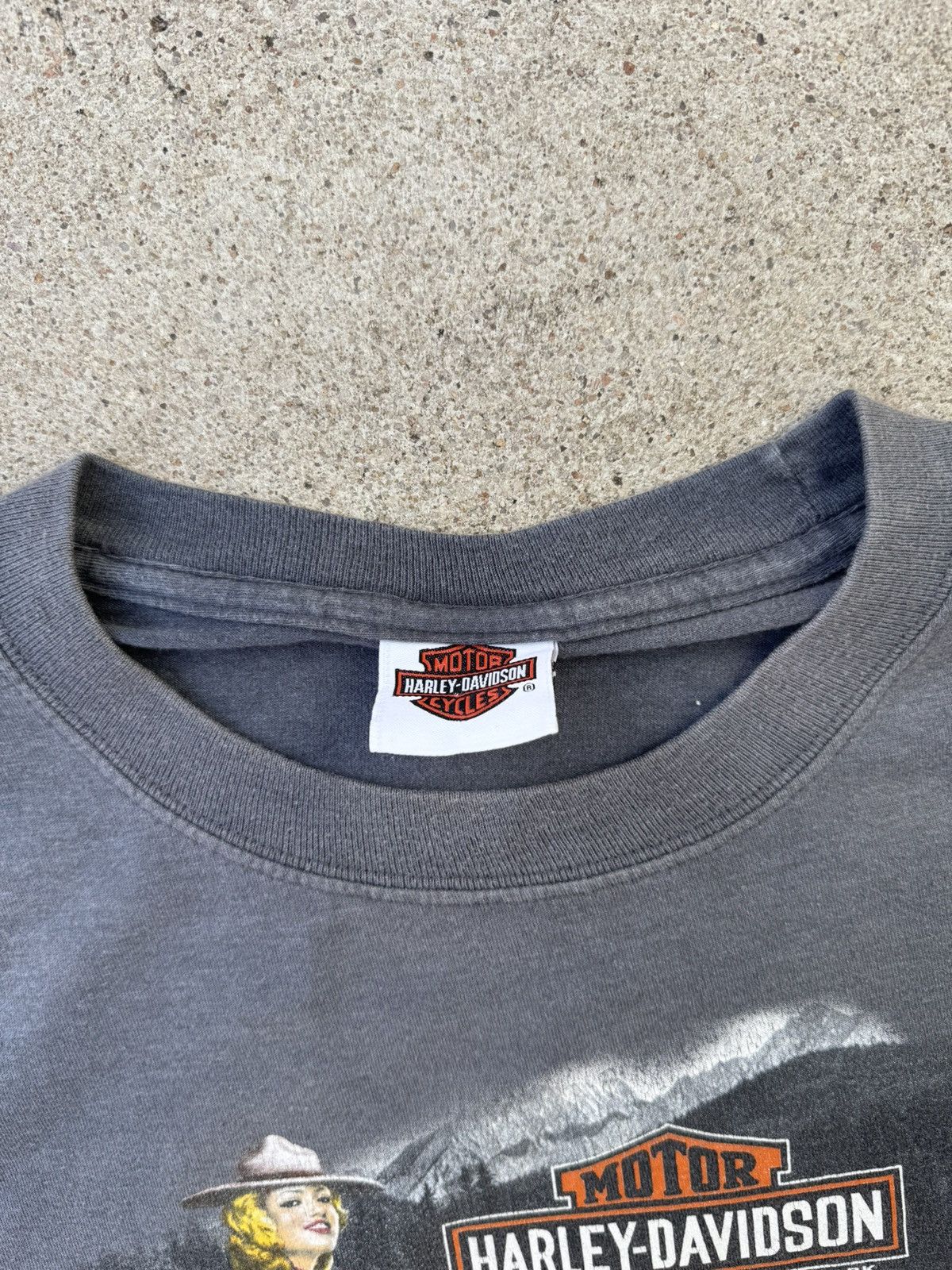 Harley Davidson × Vintage Y2K 00’s Harley Davidson Niagara Falls Canada Graphic Tee XL Size US XL / EU 56 / 4 - 3 Thumbnail
