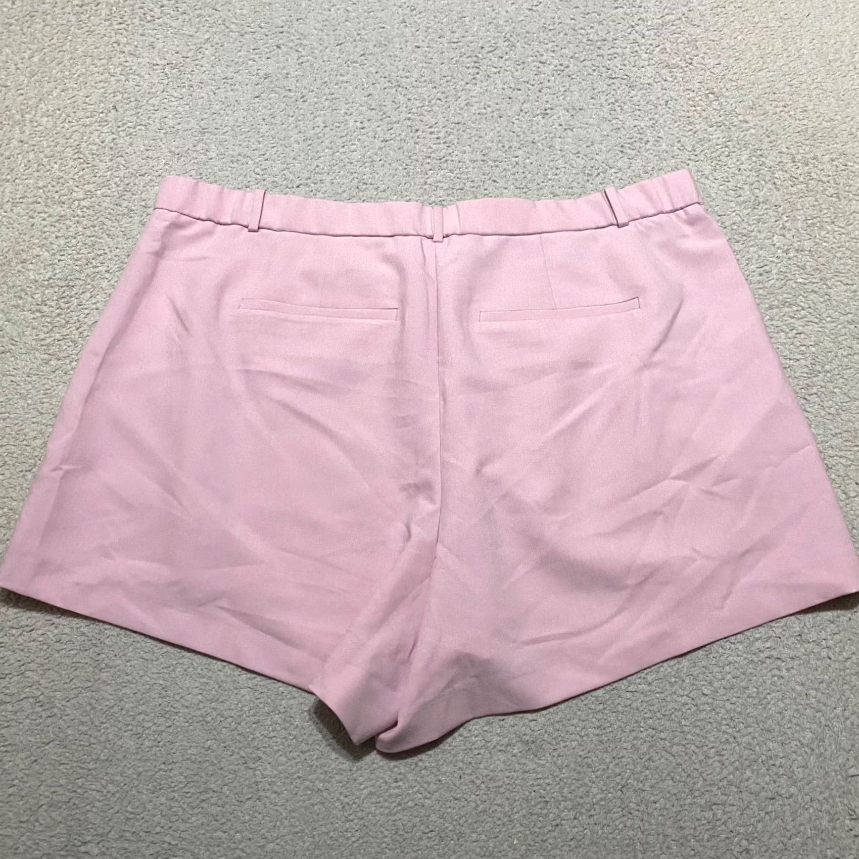 Abercrombie & Fitch Abercrombie & Fitch Womens Plus 22 Pink Chino Shorts High Rise NWT Vintage? Size 40" / US 18 - 2 Thumbnail
