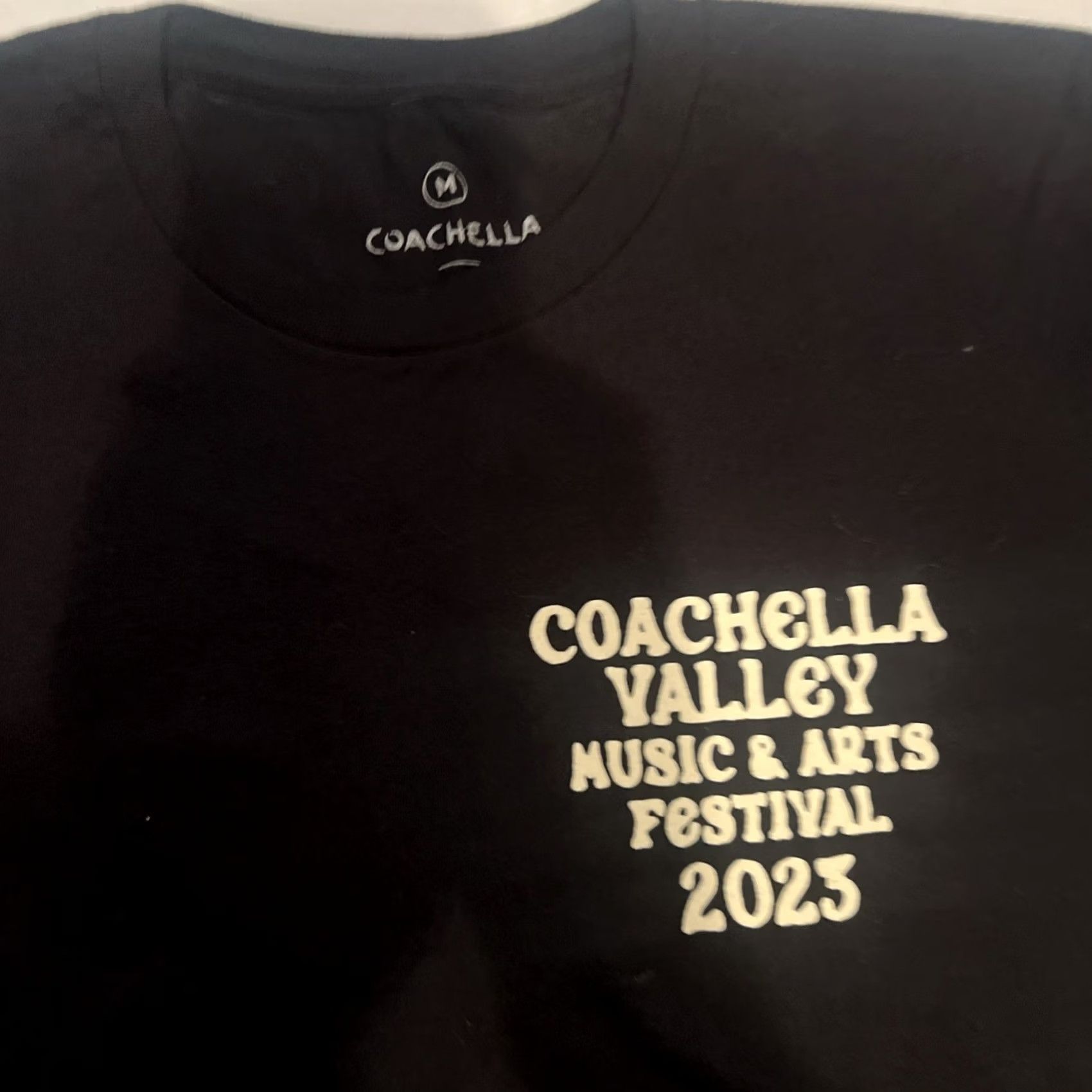 Vintage VINTAGE Coachella Shirt Unisex Adults Regular Black Cotton Graphic Print 2020-2029 90s Music Logo Tee Mens Womens L Size US L / EU 52-54 / 3 - 3 Thumbnail