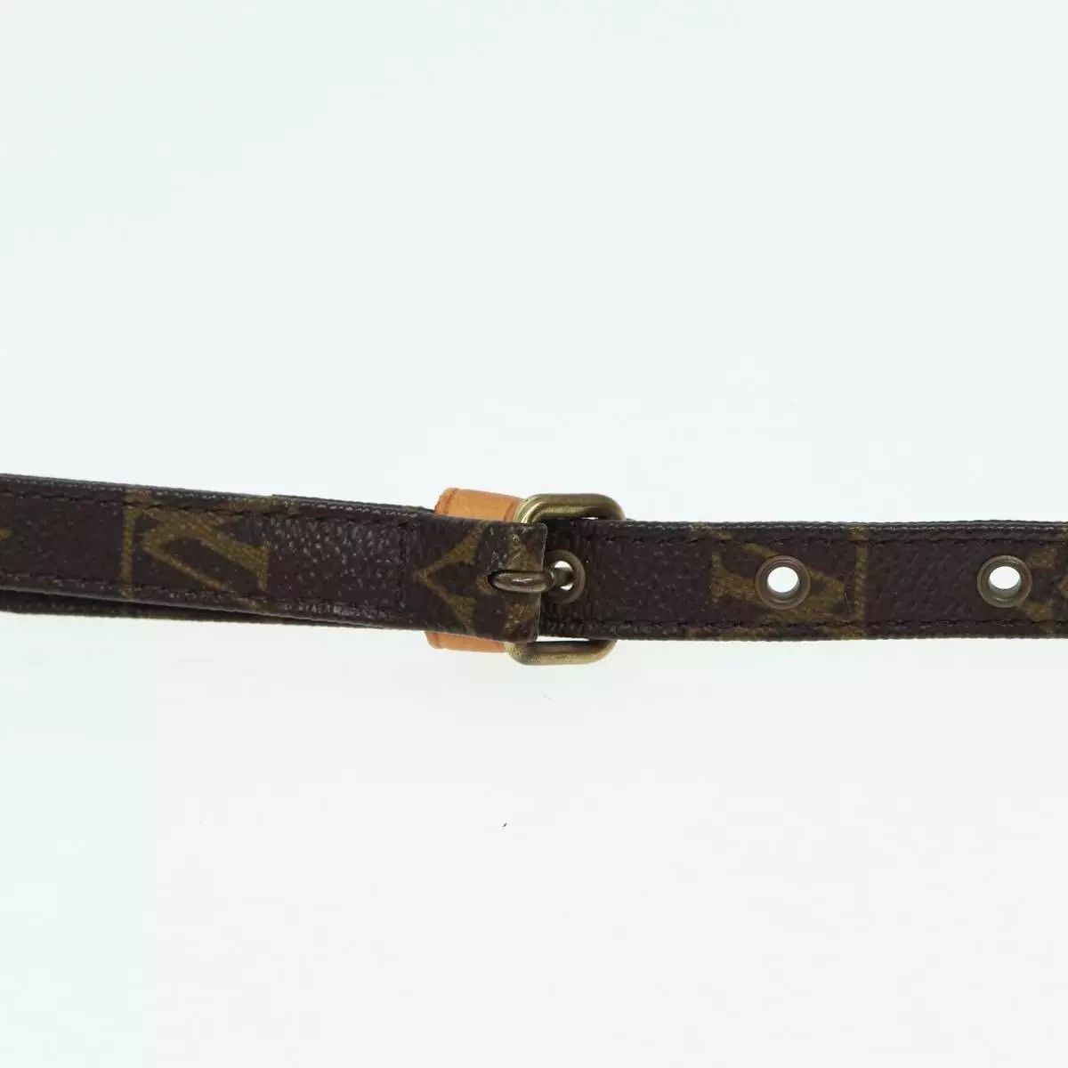 Louis Vuitton LOUIS VUITTON Monogram Amazon Shoulder Bag Size ONE SIZE - 13 Thumbnail