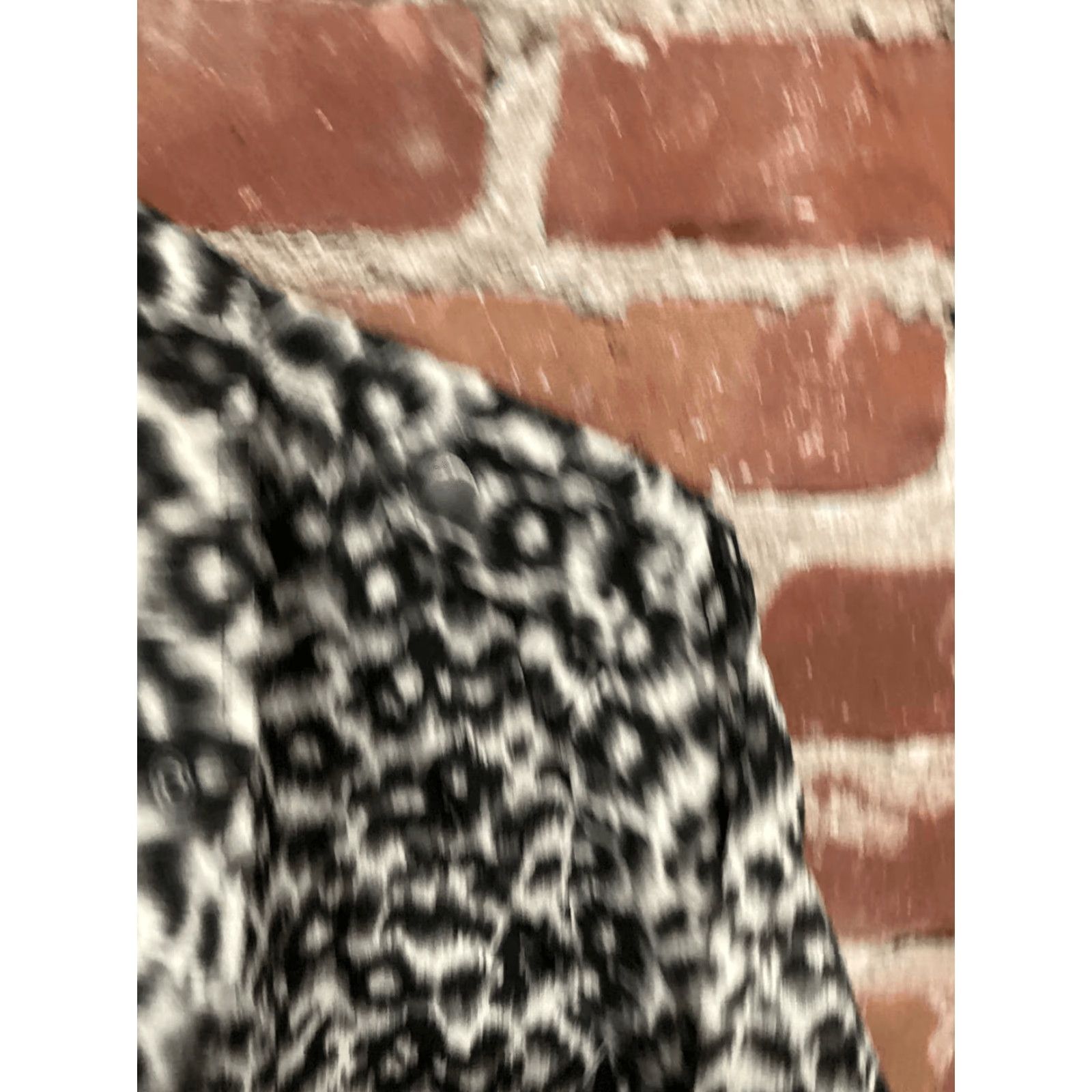 Vintage Chico's Animal Print Shirt Jacket XL Cheetah Size XL / US 12-14 / IT 48-50 - 3 Thumbnail