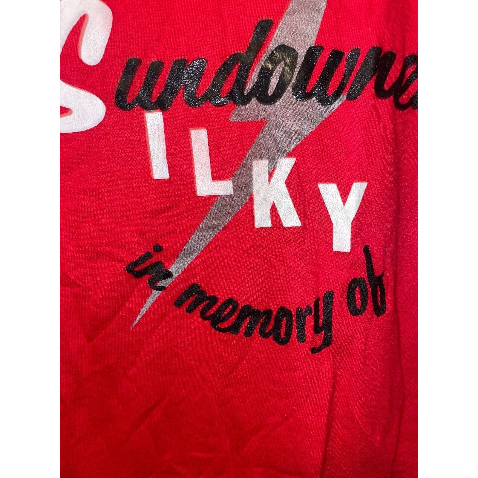 Jerzees Vintage Sundowners Shirt Support Your Local Silky Tee 80s M Size US M / EU 48-50 / 2 - 5 Thumbnail