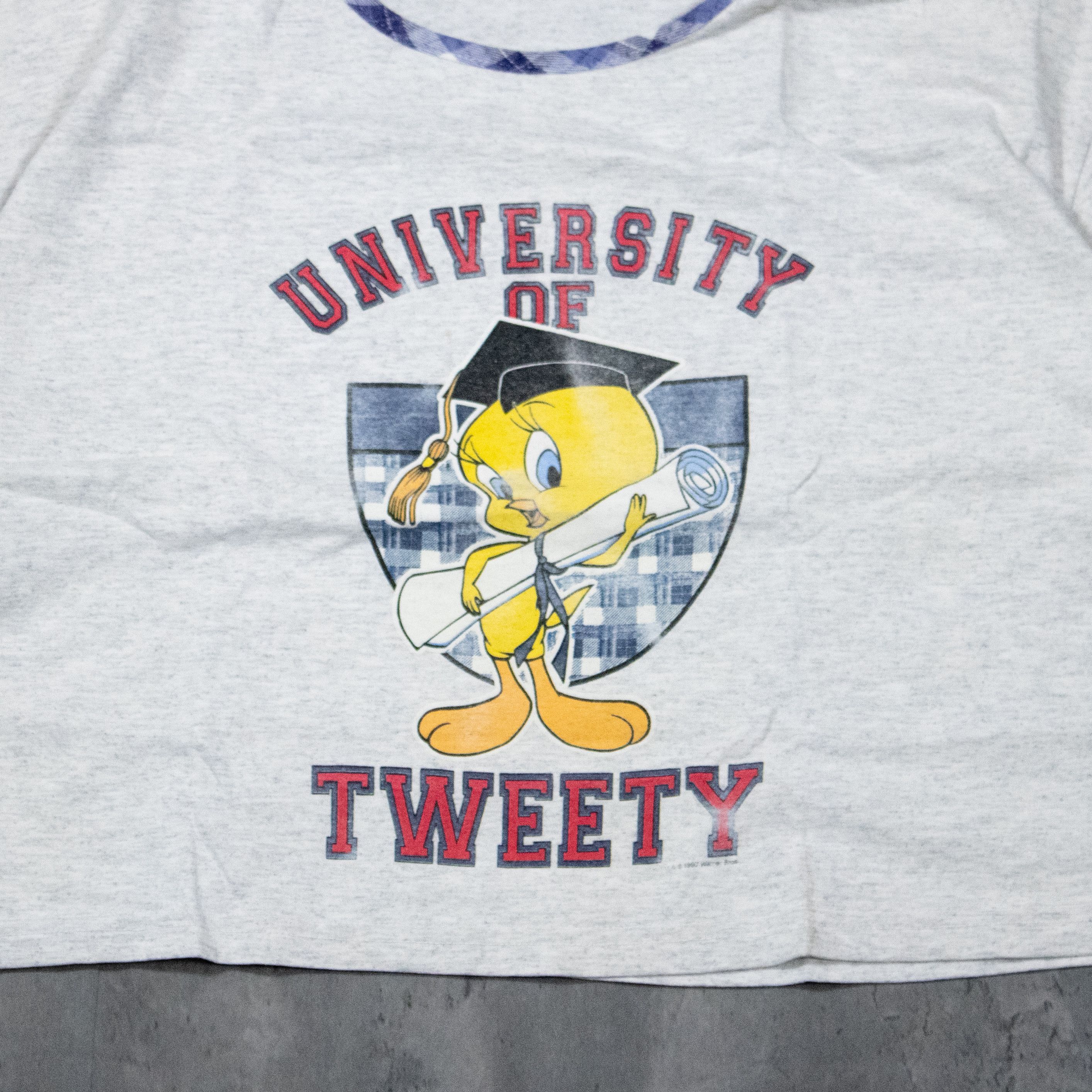 Cartoon Network × Vintage Vintage 1997 Tweety University Cropped Grey Crop Top T-Shirt Size L / US 10 / IT 46 - 4 Thumbnail