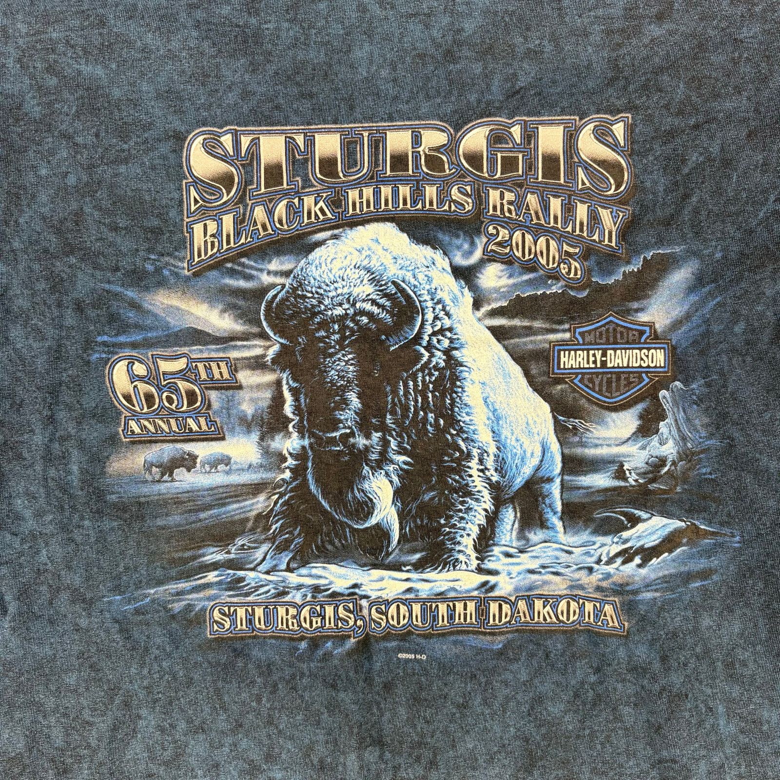 Harley Davidson Sturgis Bison Harley-Davidson T-shirt Size US L / EU 52-54 / 3 - 3 Thumbnail