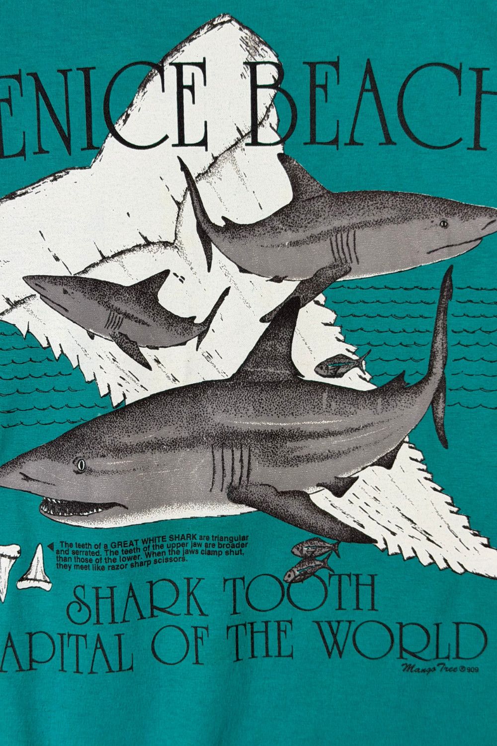 Hanes Vintage 90s Venice Beach Shark Tooth Graphic Tee USA Single Size US L / EU 52-54 / 3 - 5 Thumbnail