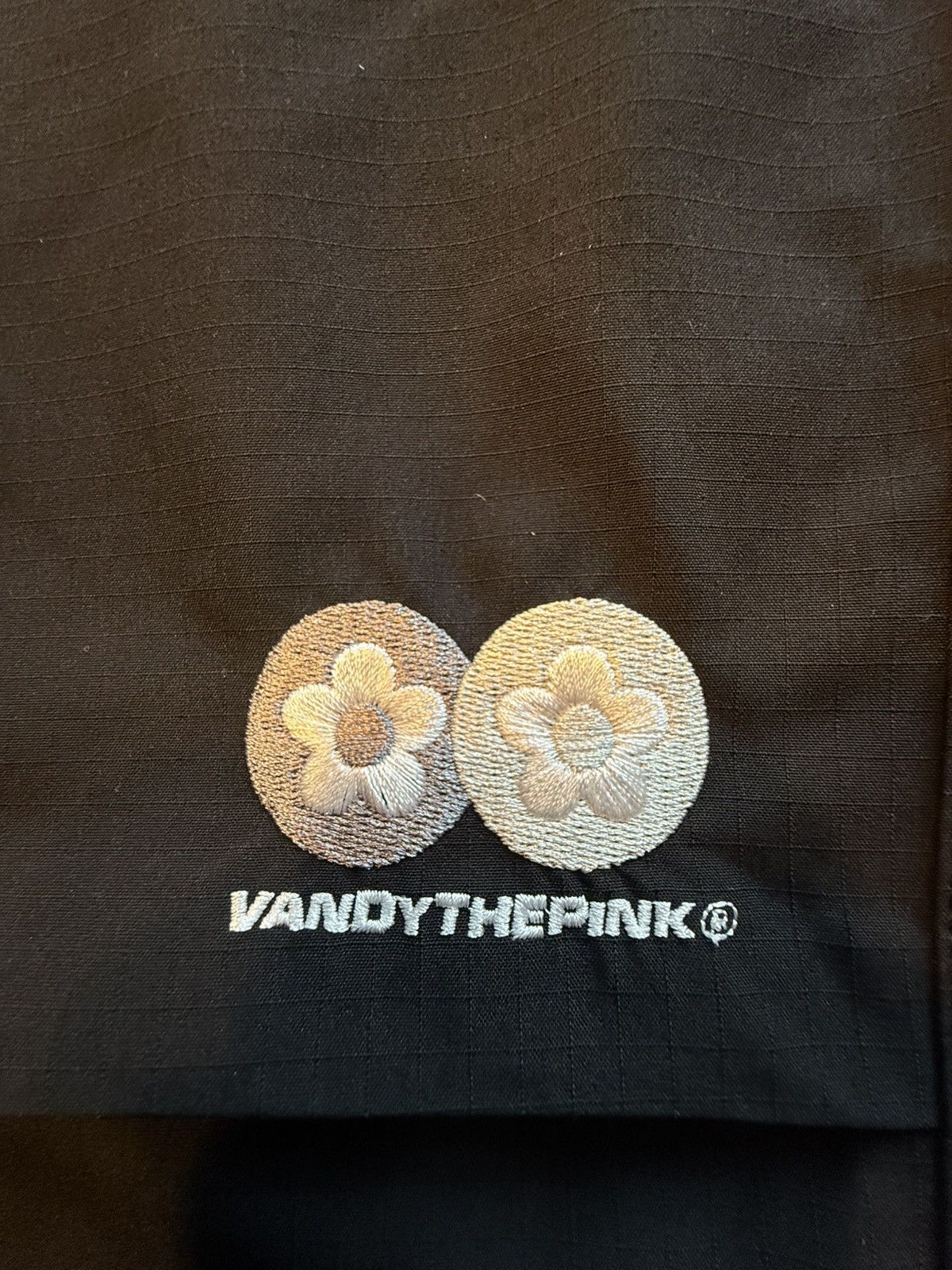 Vandy The Pink Vandy the pink hiking shell pants Size US 34 / EU 50 - 2 Thumbnail