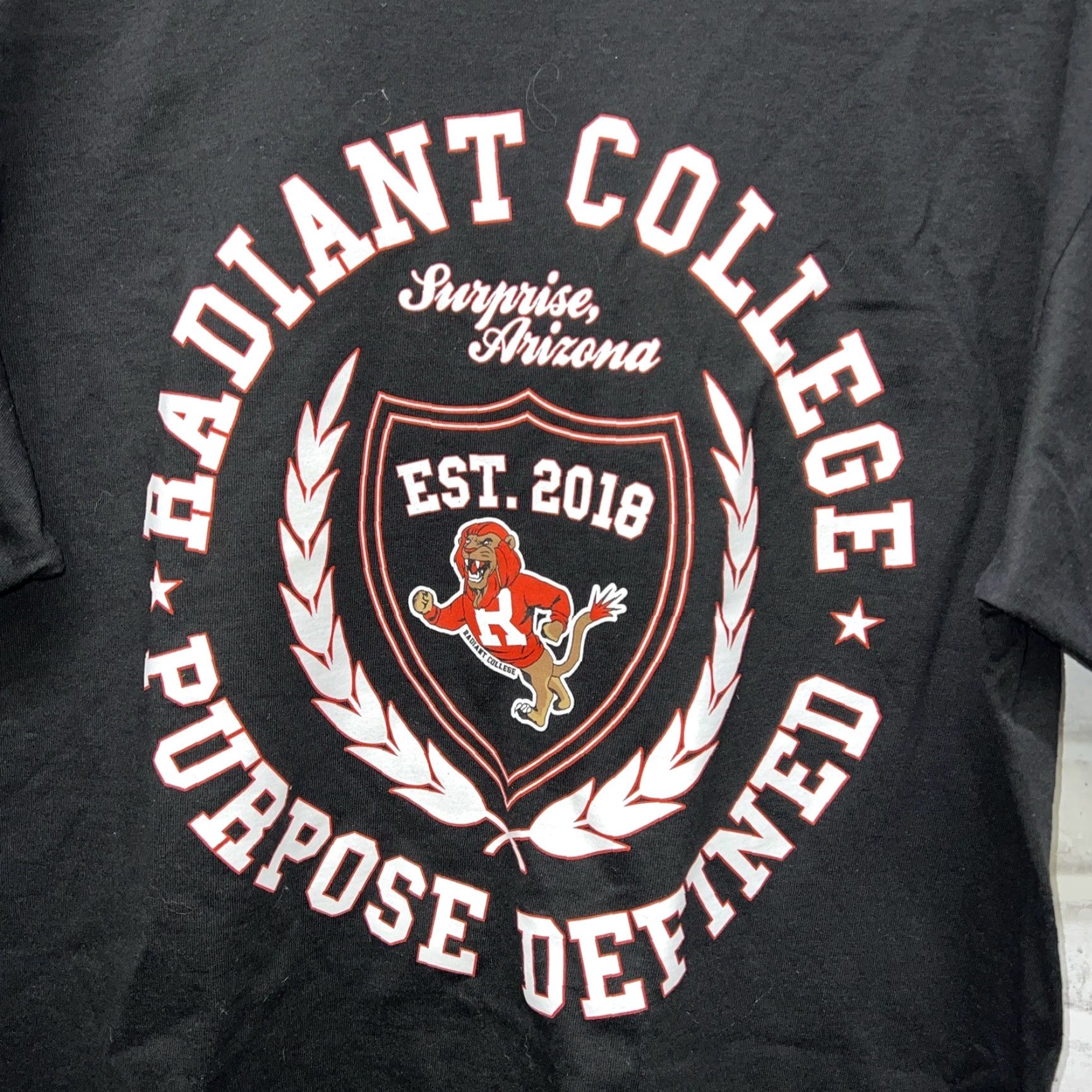 Vintage VINTAGE Shaka Wear Radiant College Surprise AZ Shaka Heavy T-Shirt Mens Size L Size US L / EU 52-54 / 3 - 2 Thumbnail