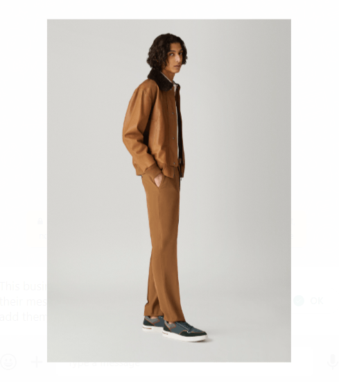image of Loro Piana O1Srvl11E0424 Fourpockets Pants In Brown, Men's (Size 36)