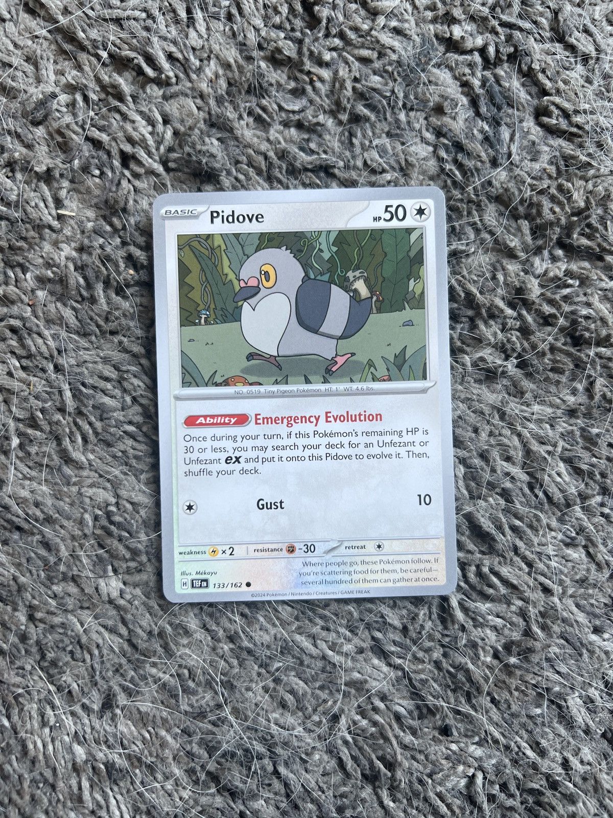 Pokemon 2024 Pokémon Pidove Basic Card Size ONE SIZE - 1 Thumbnail