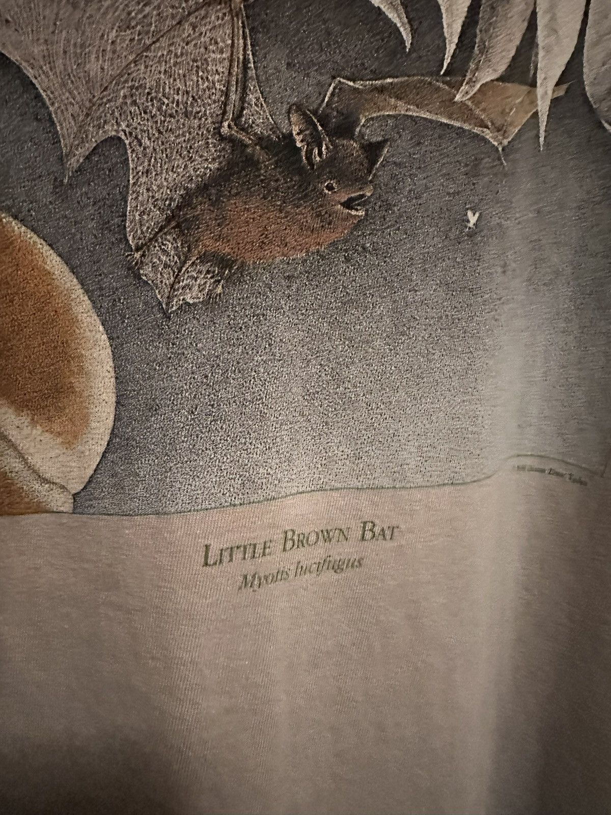 Other Vintage Liberty Graphics “Little Brown Bat” Nature Tee 1998 Size US XL / EU 56 / 4 - 3 Thumbnail